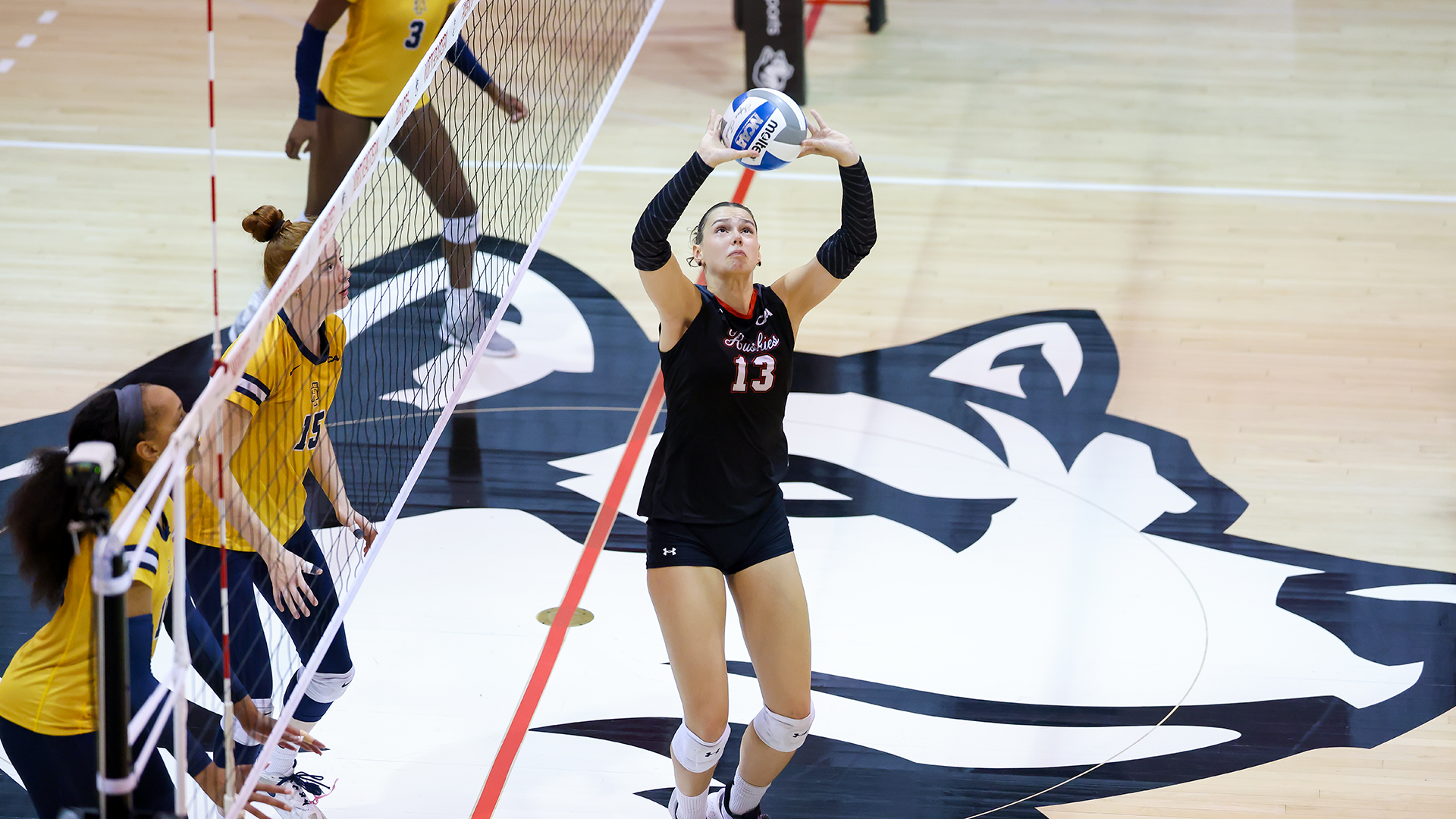 VB Recap