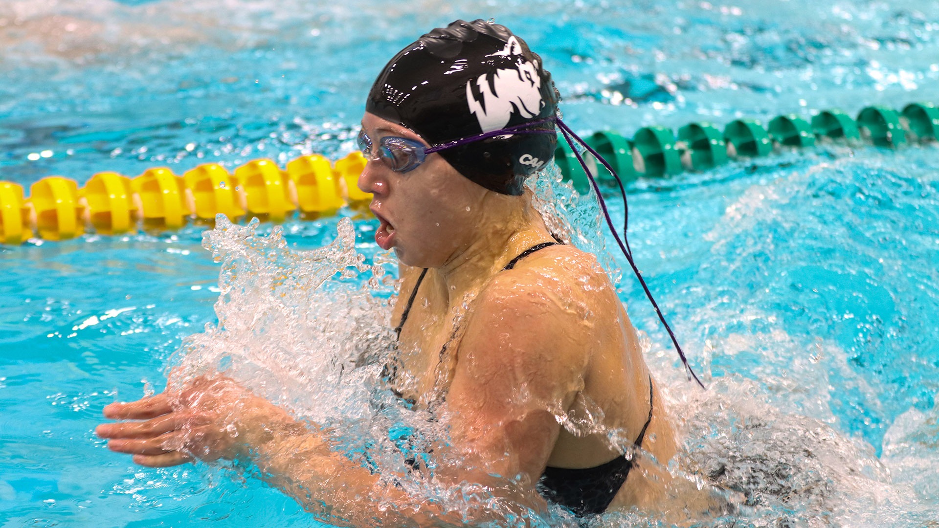 wswim