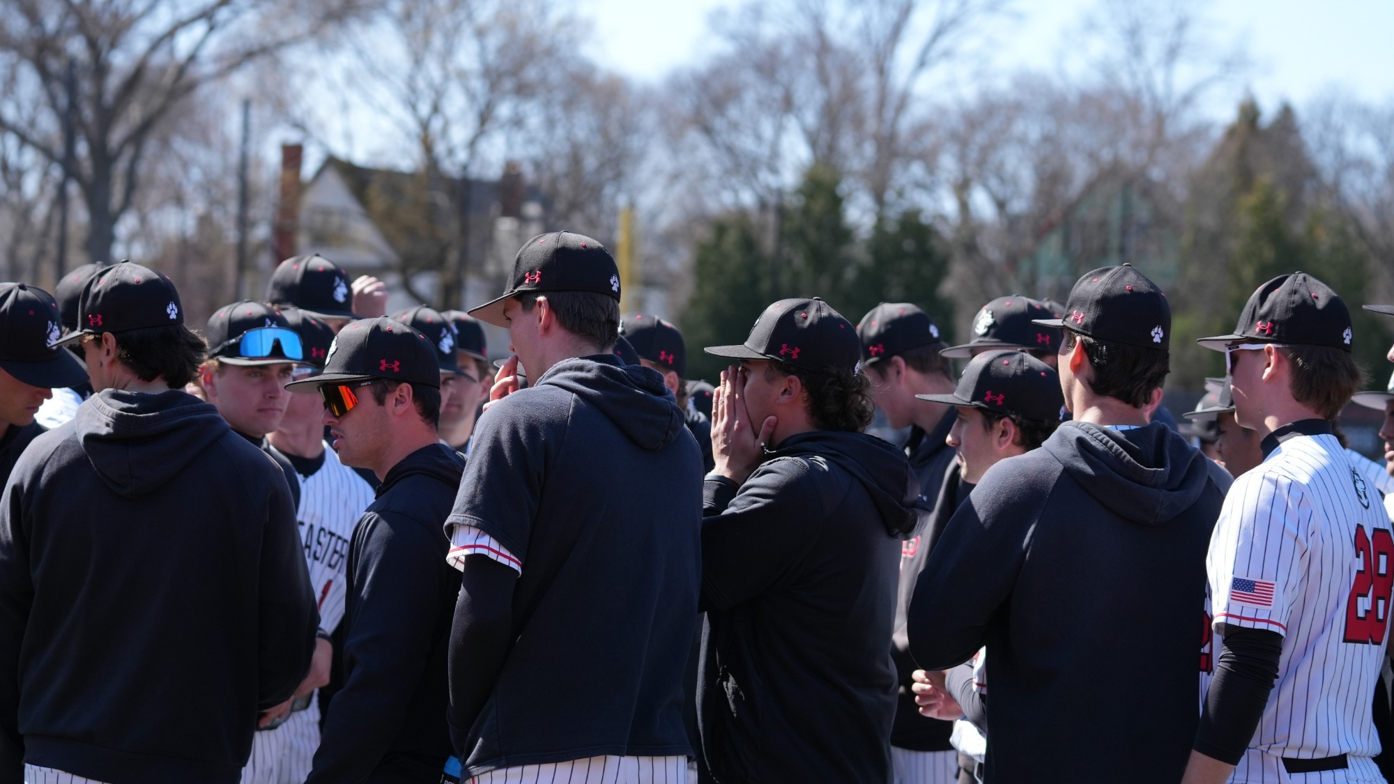 Northeastern Baseball