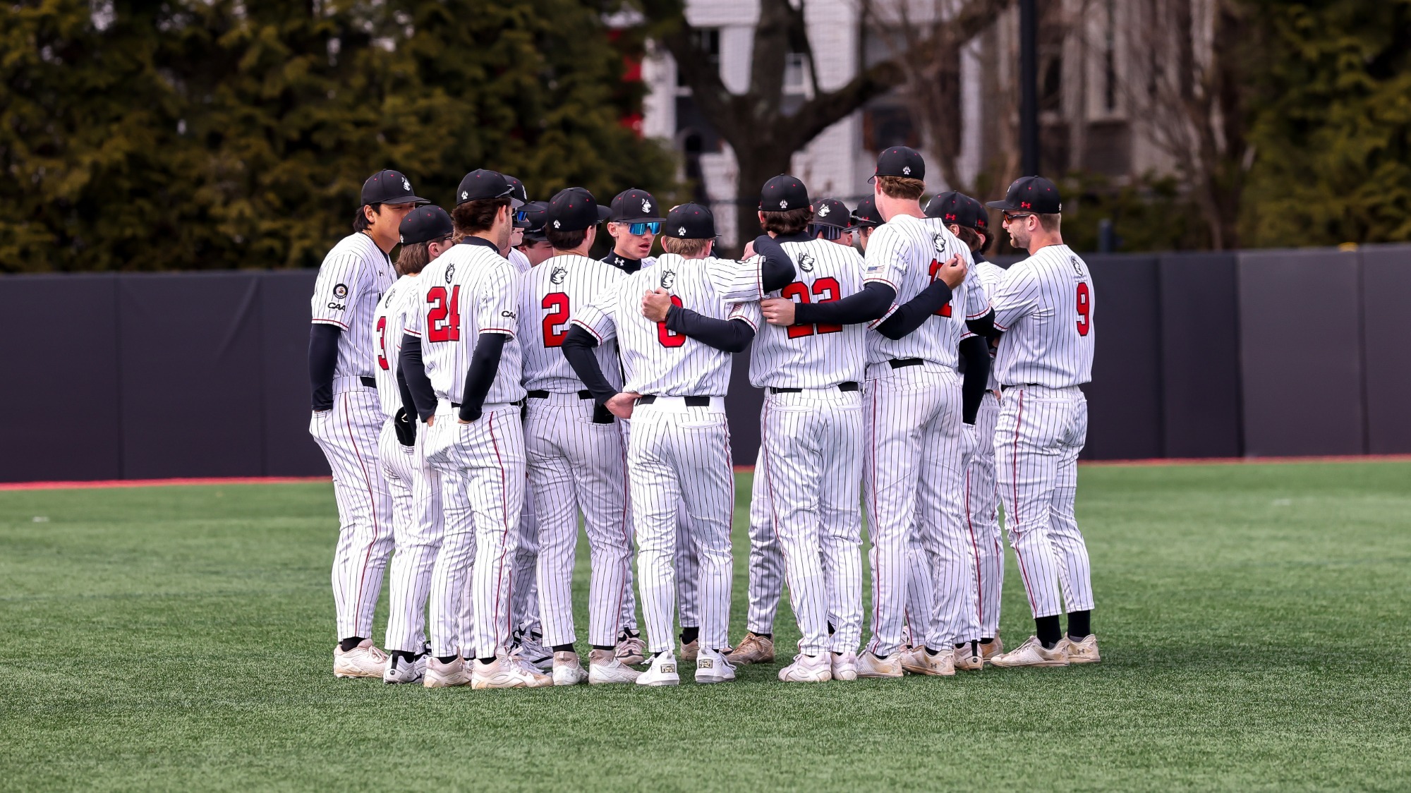 Northeastern Baseball