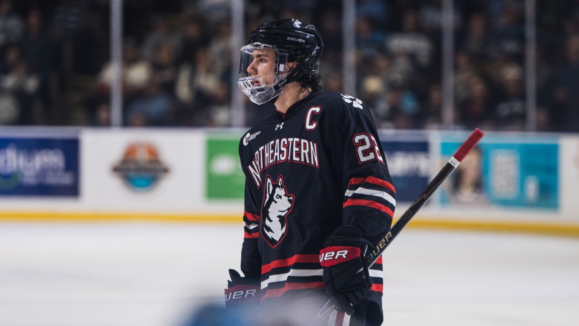 borgesi vs maine (CIA)