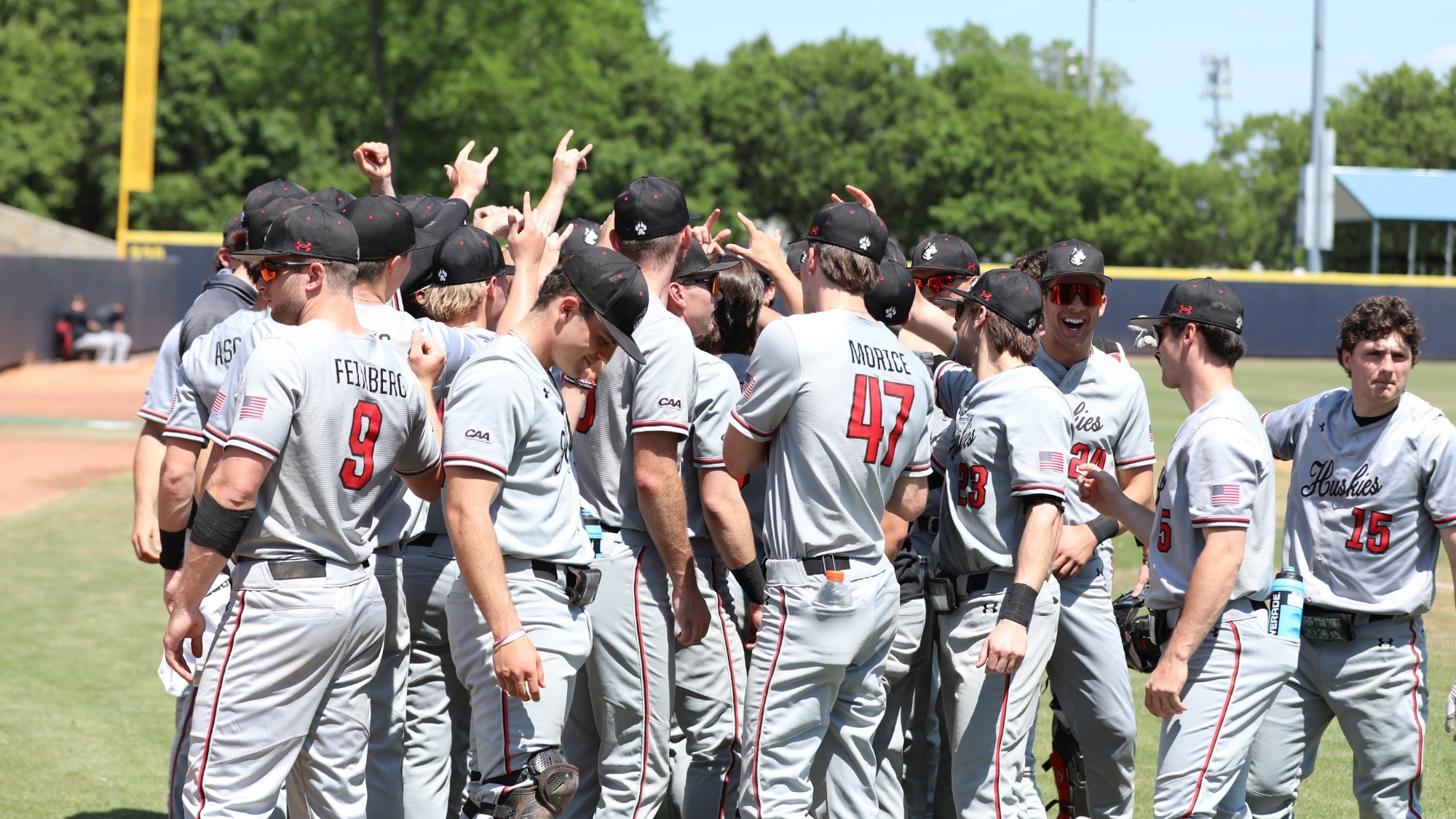 Northeastern Baseball