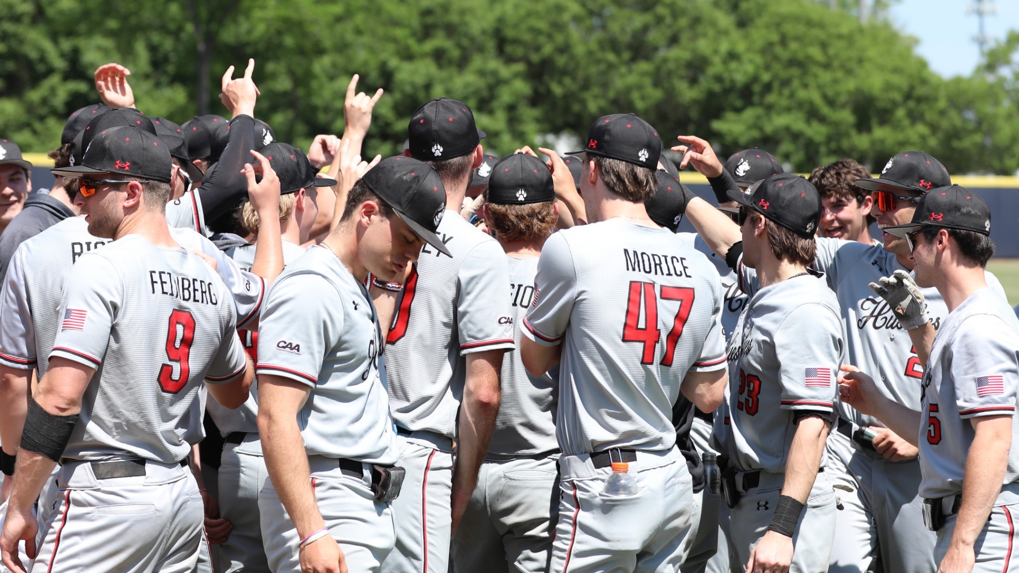 Northeastern Baseball