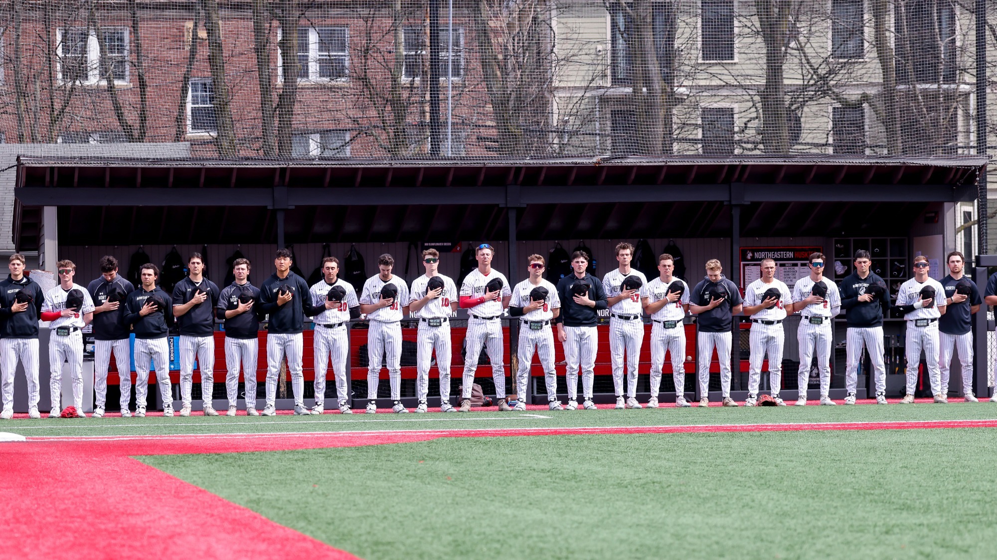 Northeastern Baseball