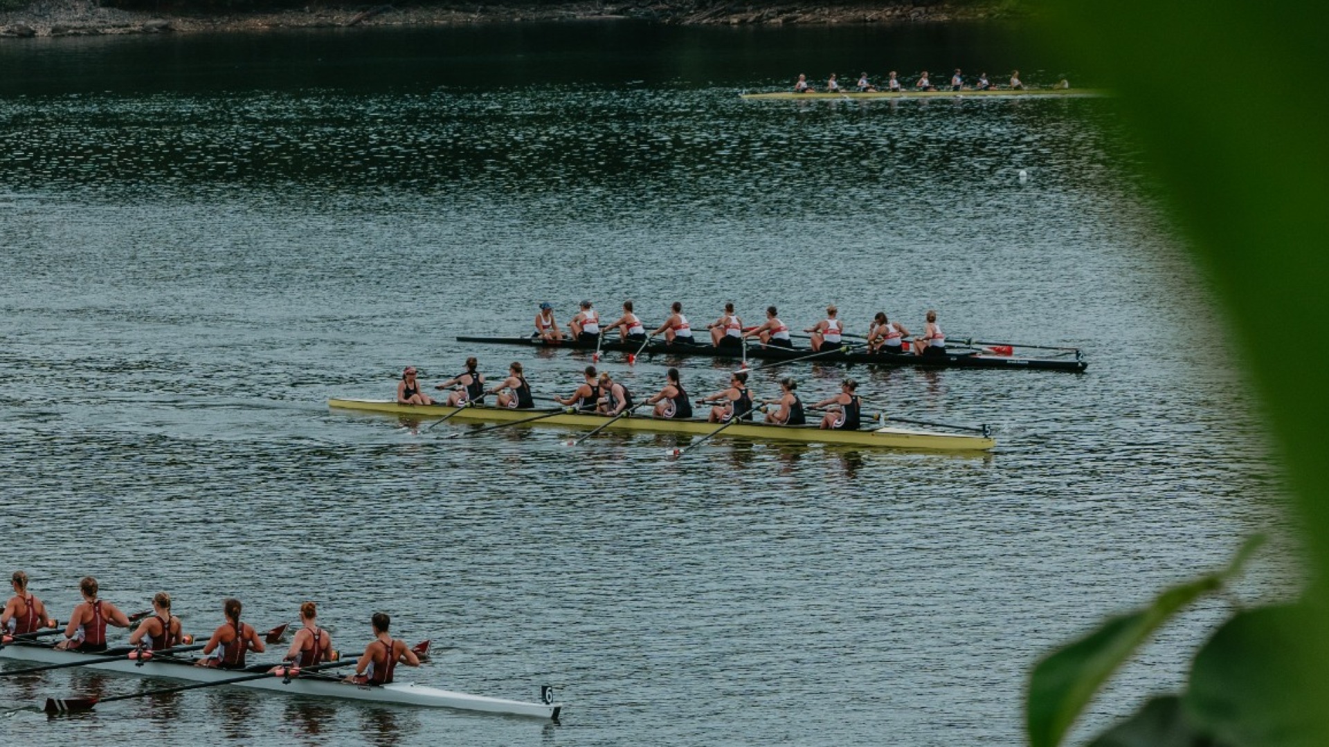 wrow_ncaas