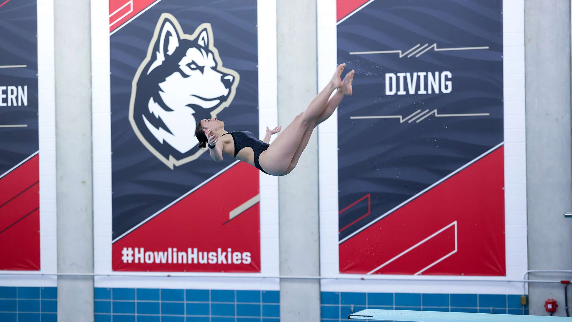 Husky Dive Invite Preview