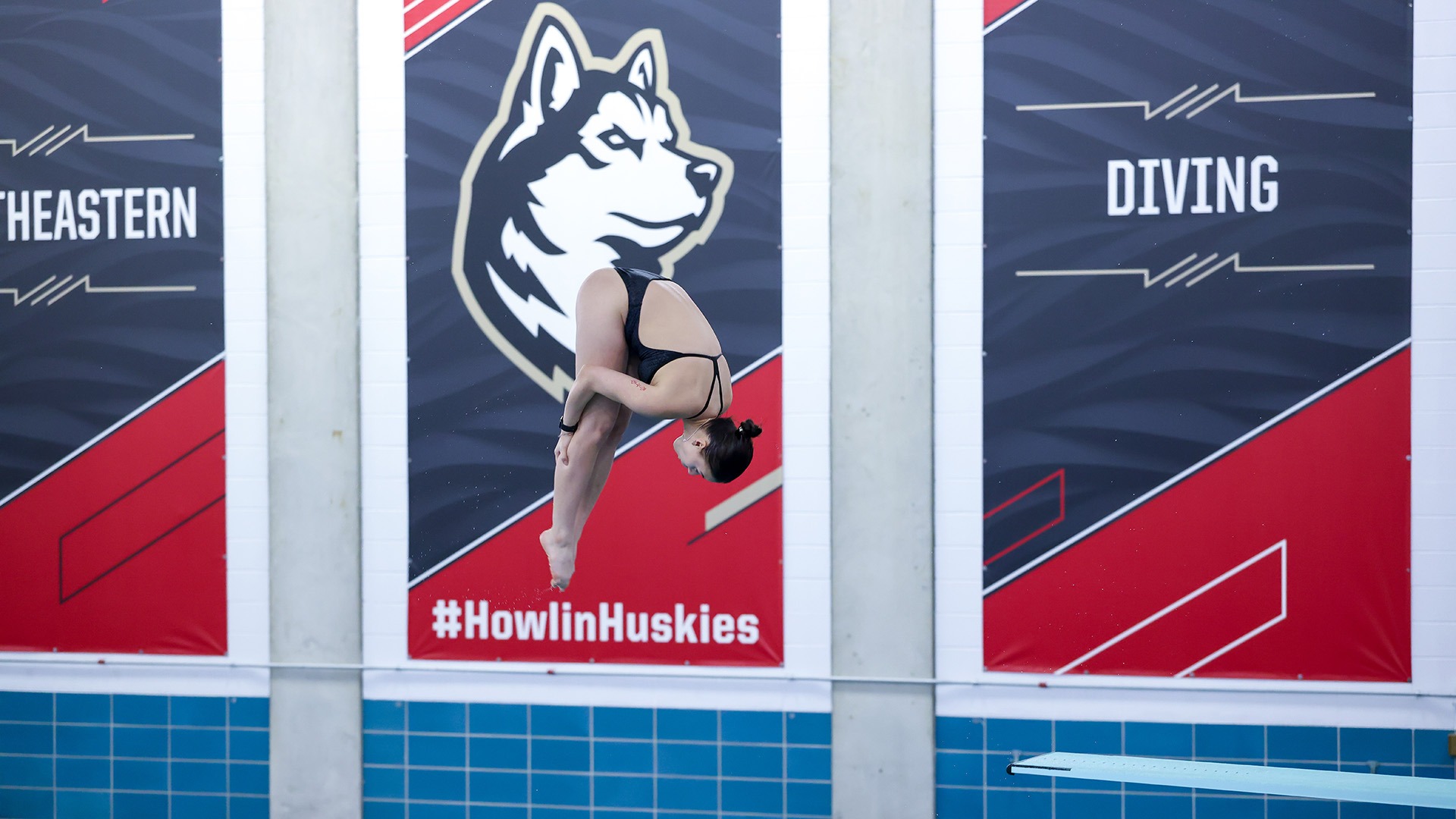 Northeastern Diving