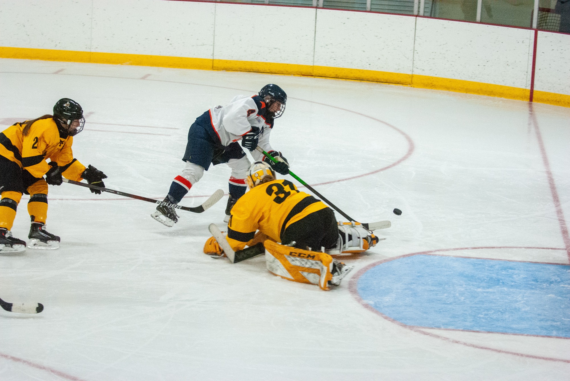 Audrey Ellerington - Women's Hockey - Northland College Athletics