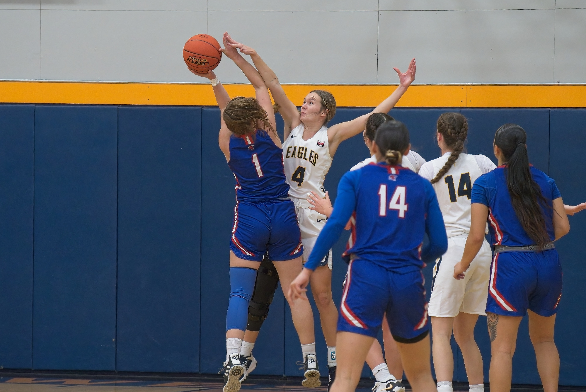 Kinslee Gallatin Women's Basketball Northwest University Athletics