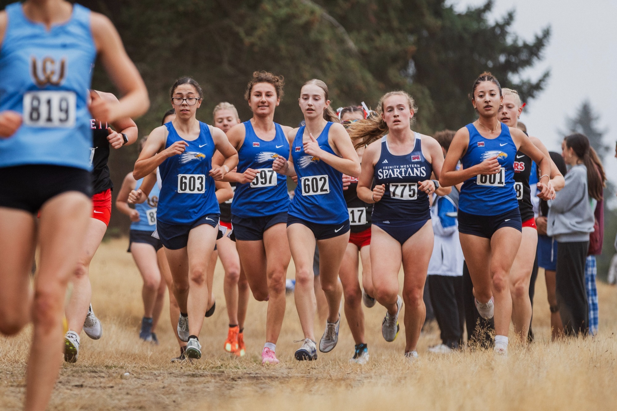xc