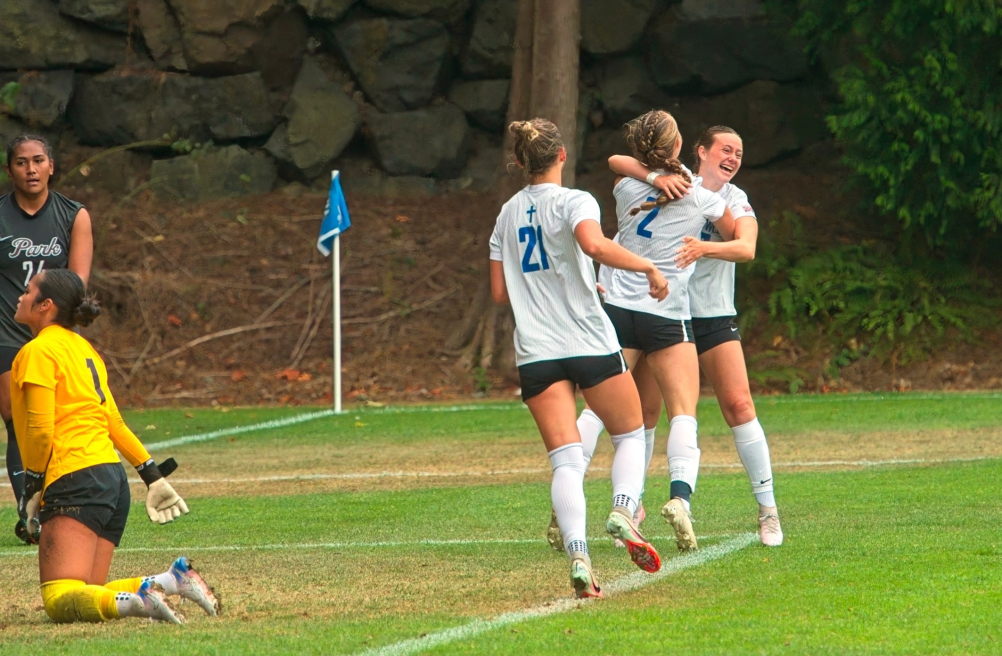 wsoc