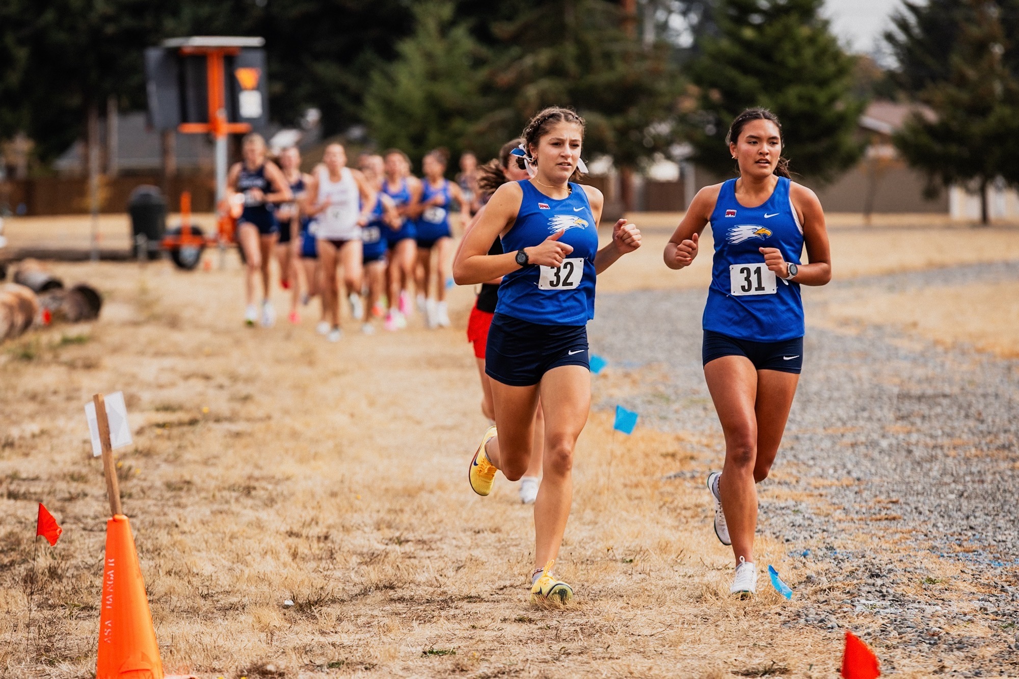 xc