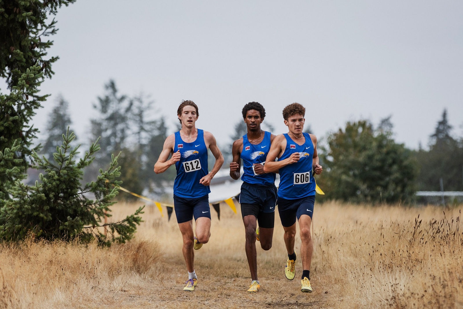 xc