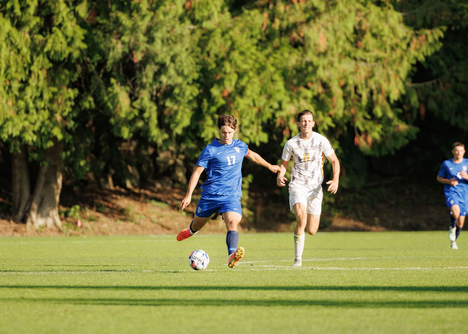 msoc