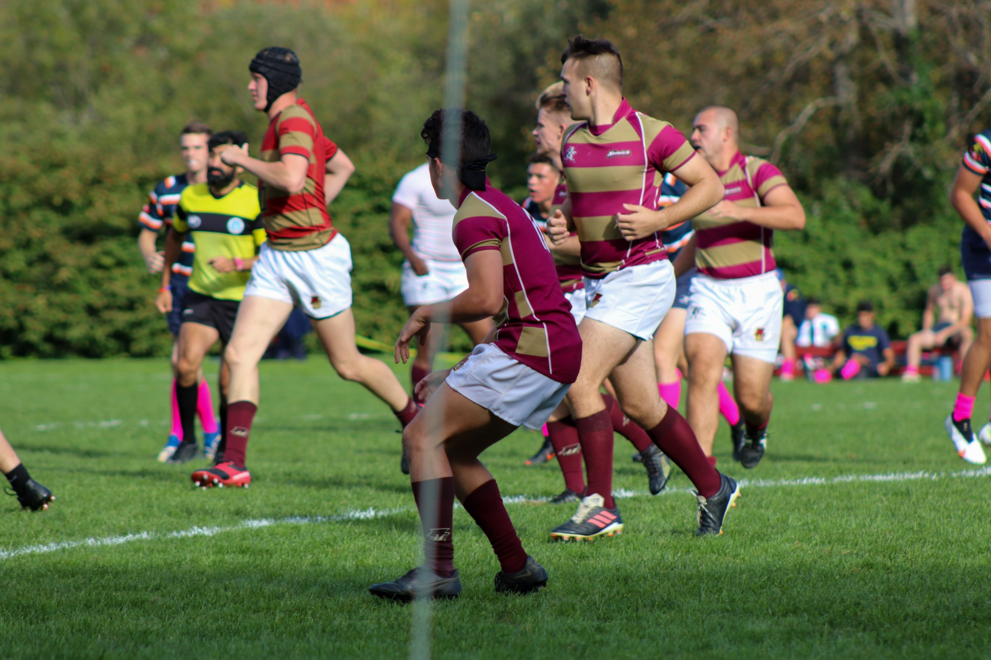 Men's Rugby Cadets Tame Terriers Norwich University