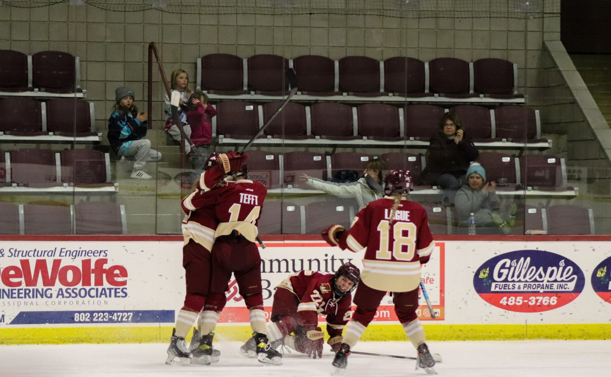 Women's Ice Hockey Cadets Halt Herons Norwich University