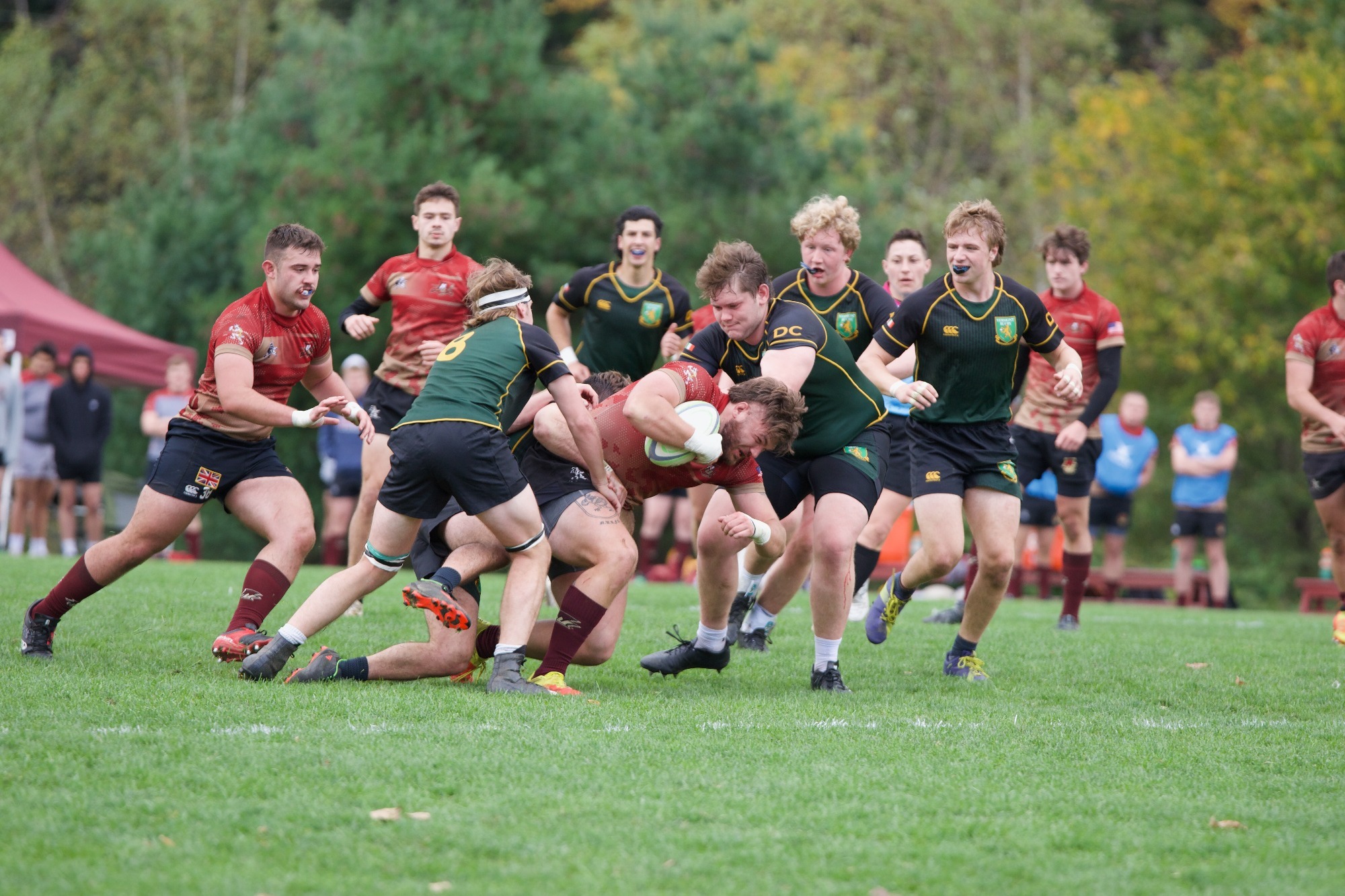 Men's Rugby Cadets Scratch Catamounts on Senior Day Norwich University