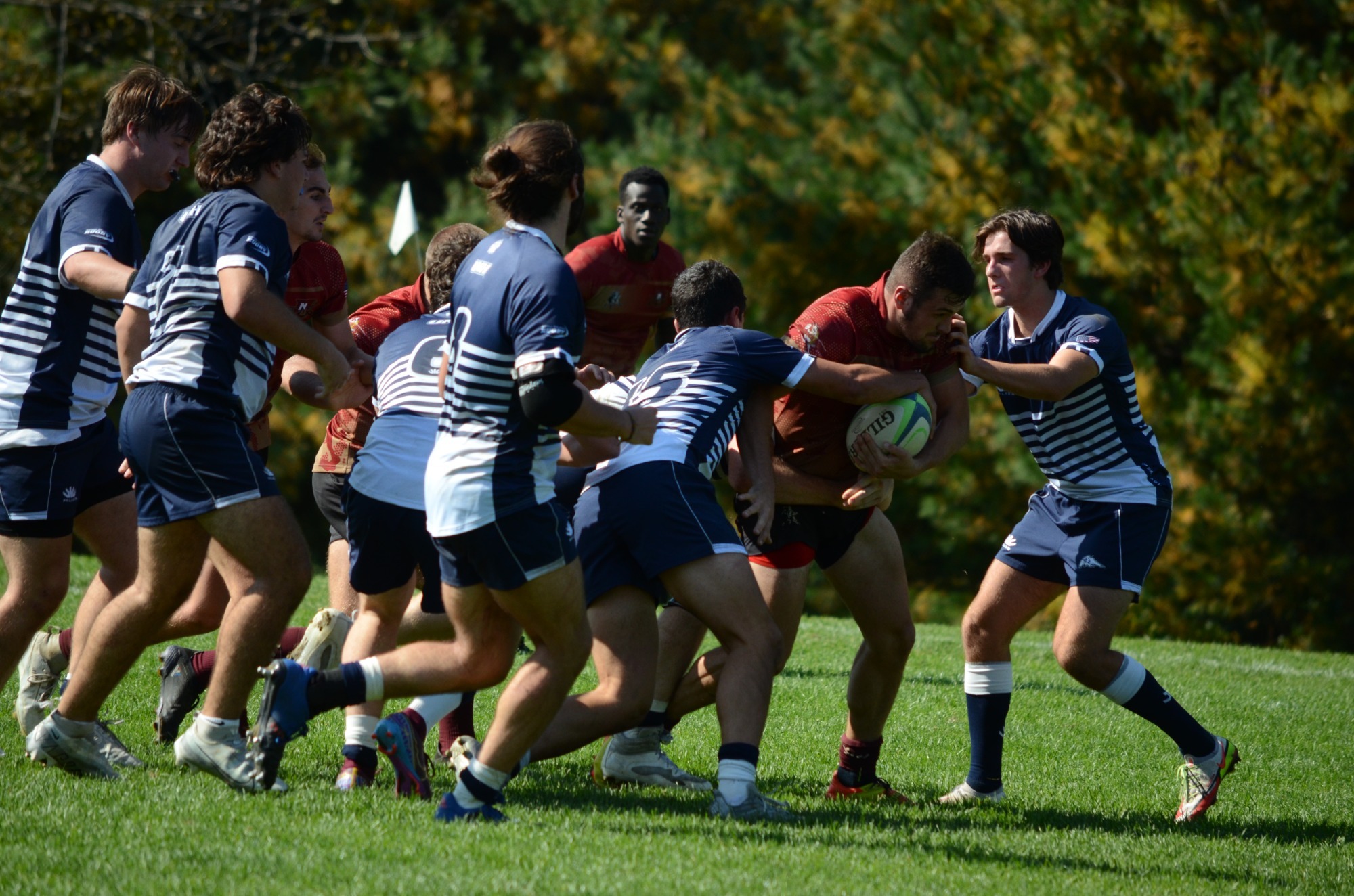 Men's Rugby Edwards, Krebs Lead Cadets in Victory over Wildcats Norwich University