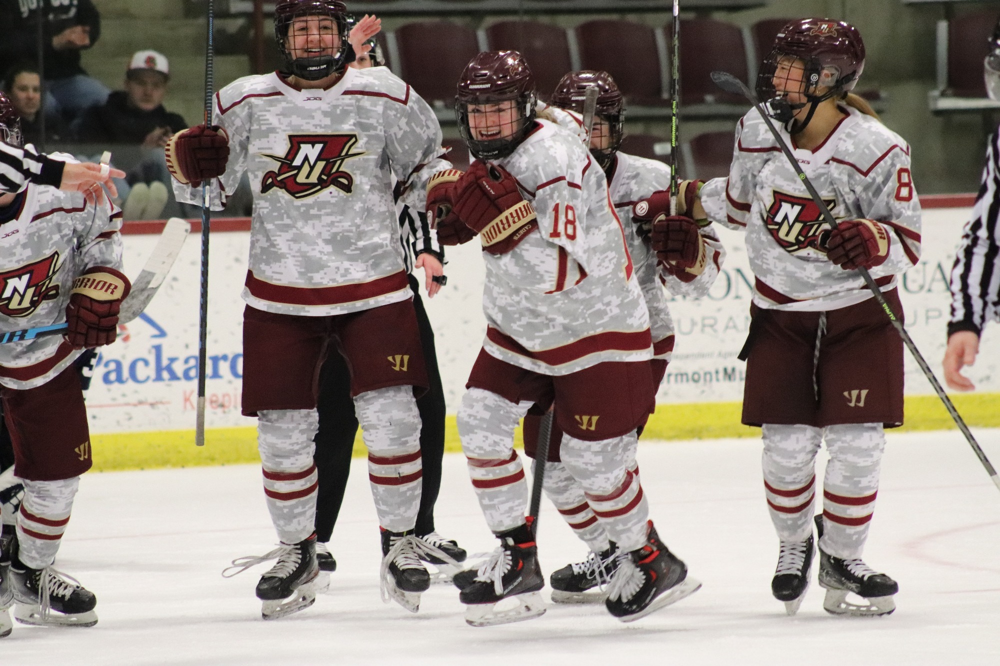 Ally LaGue 202223 Women's Ice Hockey Norwich University