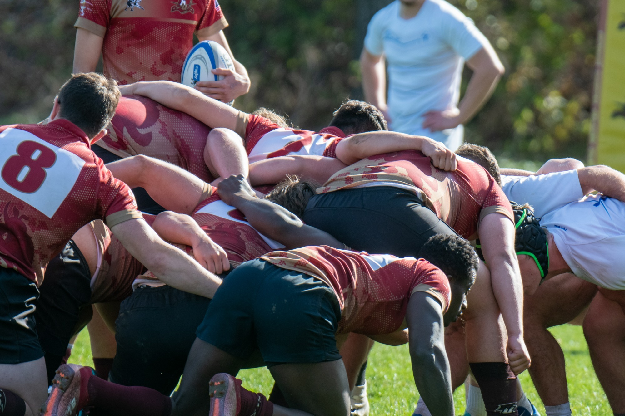 Men's Rugby NCR 7s National Tournament Preview Norwich University