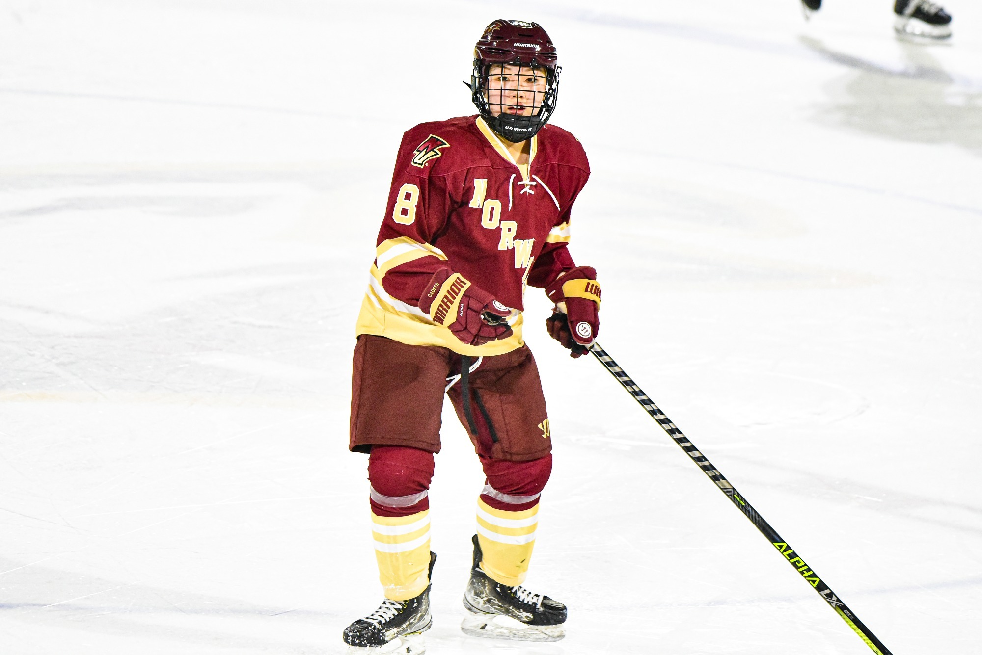 Women's Ice Hockey Two Late Third Period Goals Hoist Cadets Over