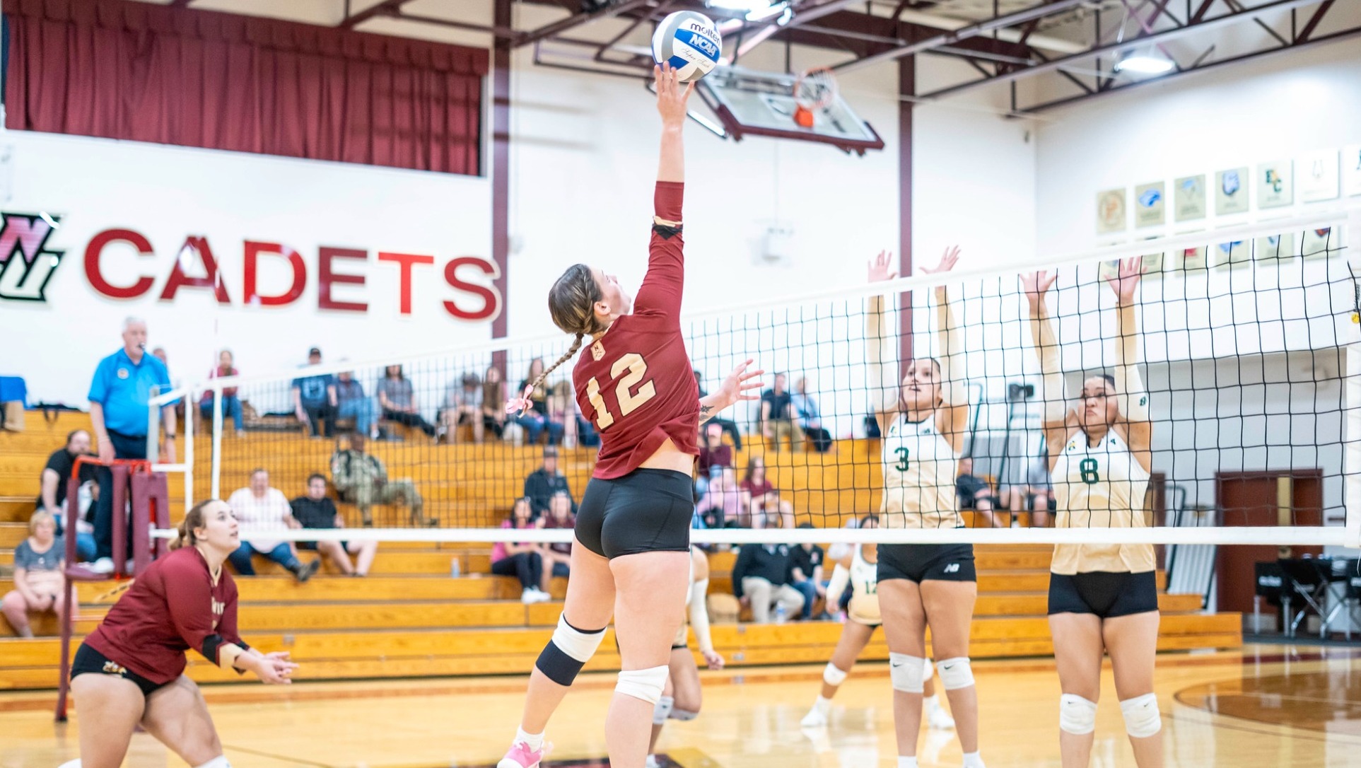 2025 WVB - Belldina Ray action