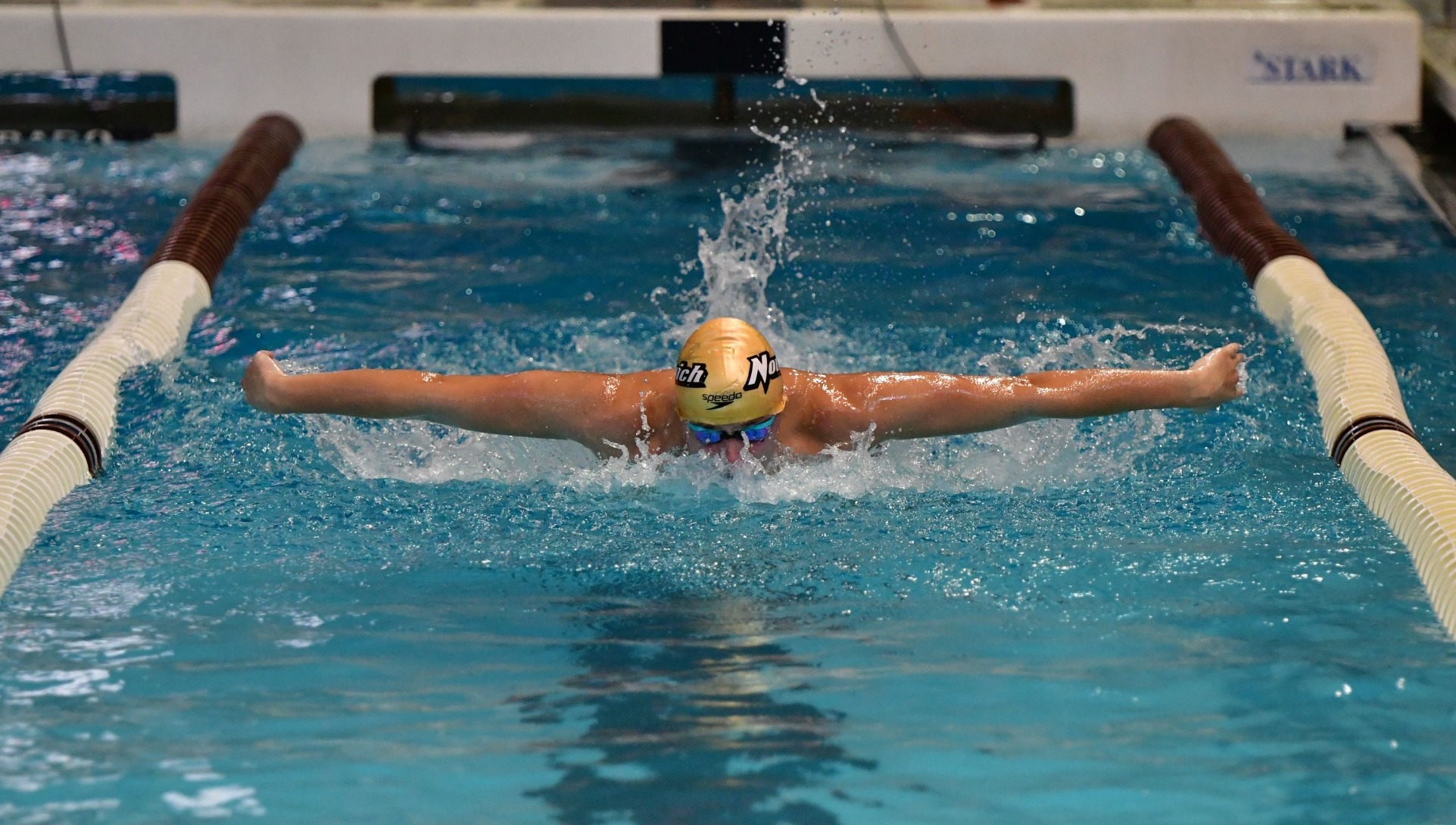 2025-26 MSWIM - action photo