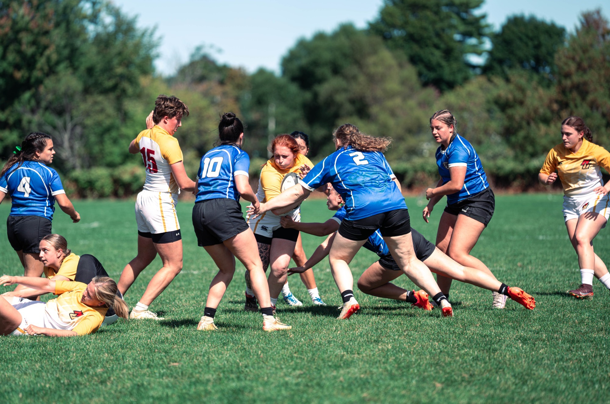 Taylor running through a sea of blue towards a try.