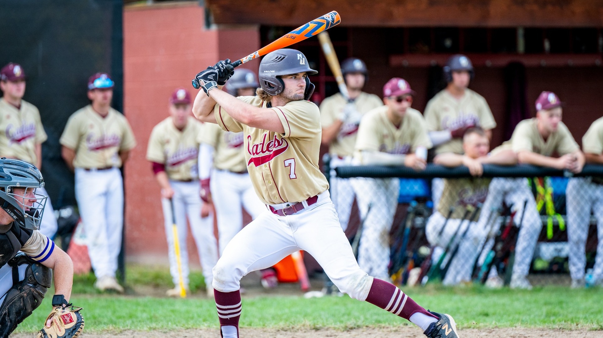 2026 BASE - Medhurst action