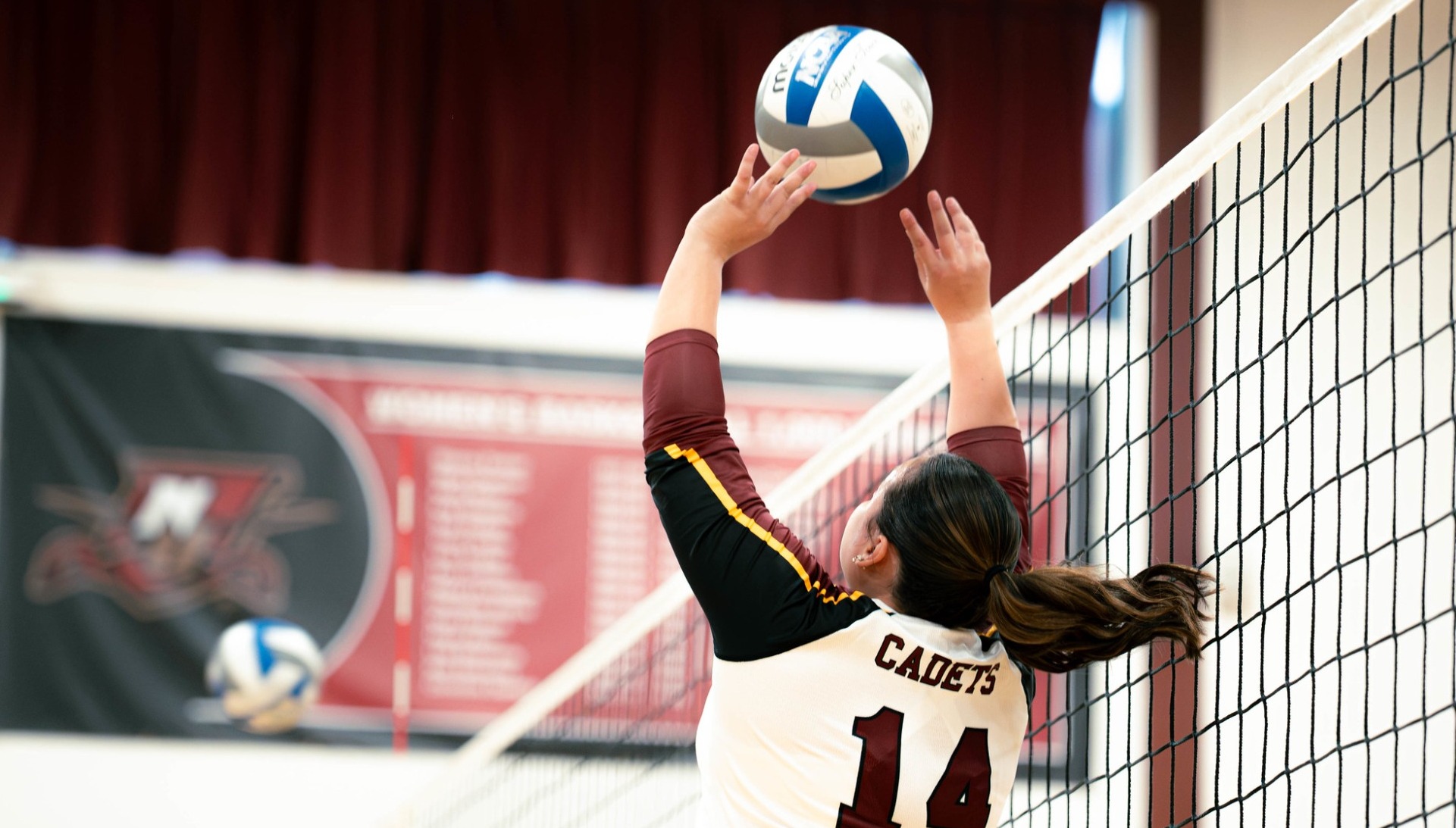 2026 WVB - Vargas action