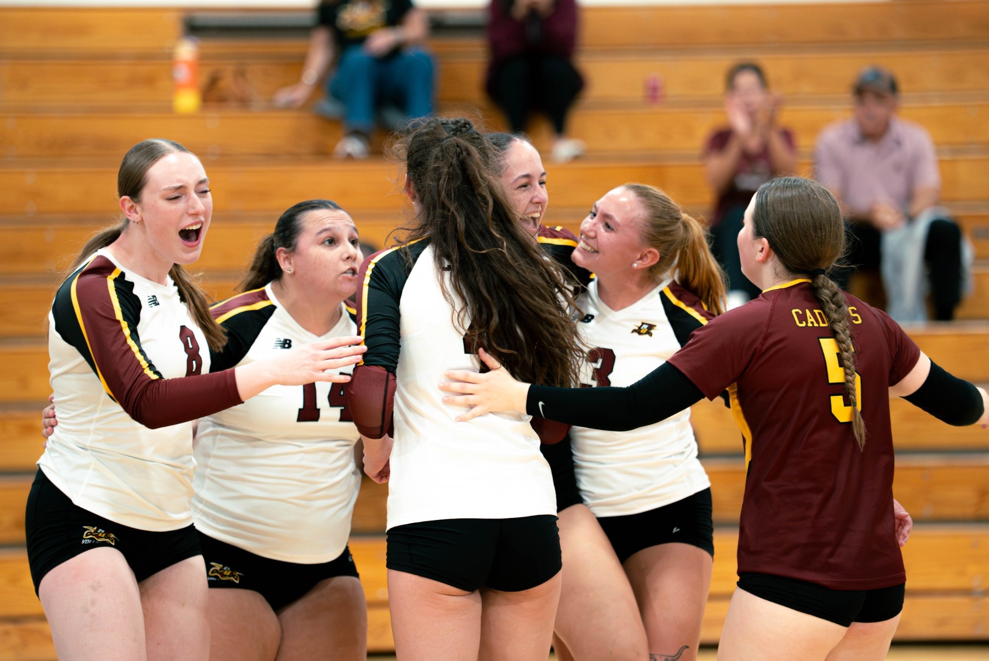 2026 WVB huddle photo