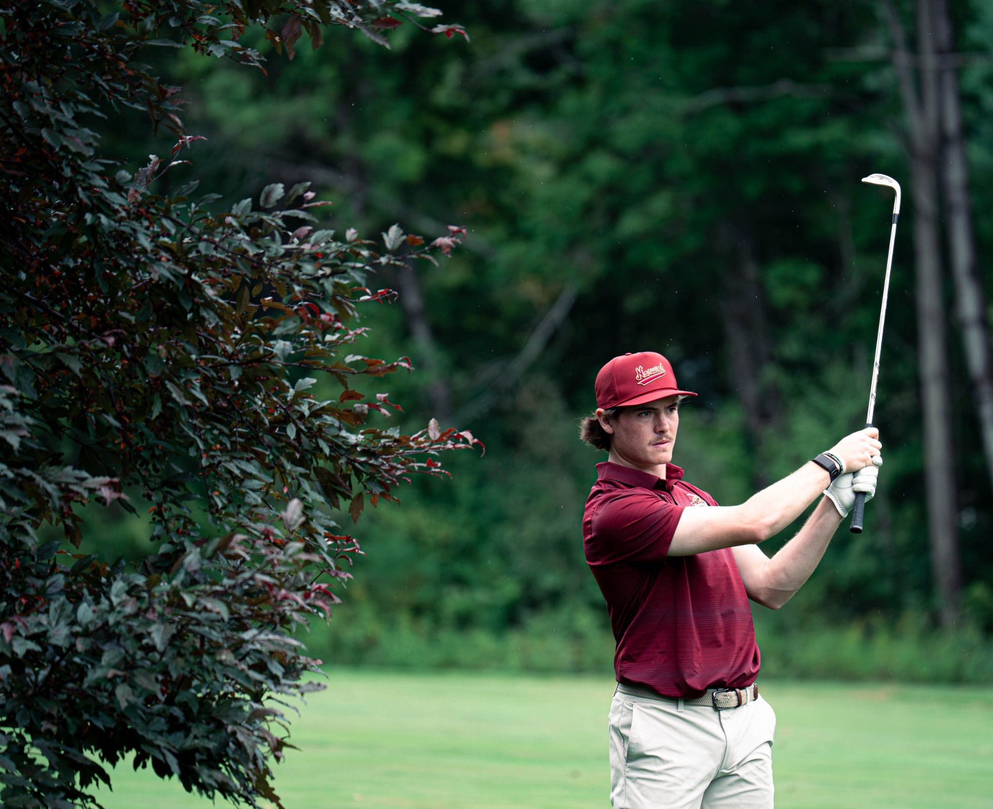 Bertrand watching his shot hit the green.