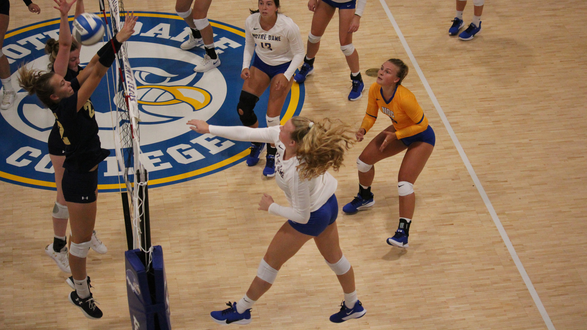 kaye-dregalla-volleyball-notre-dame-college-athletics