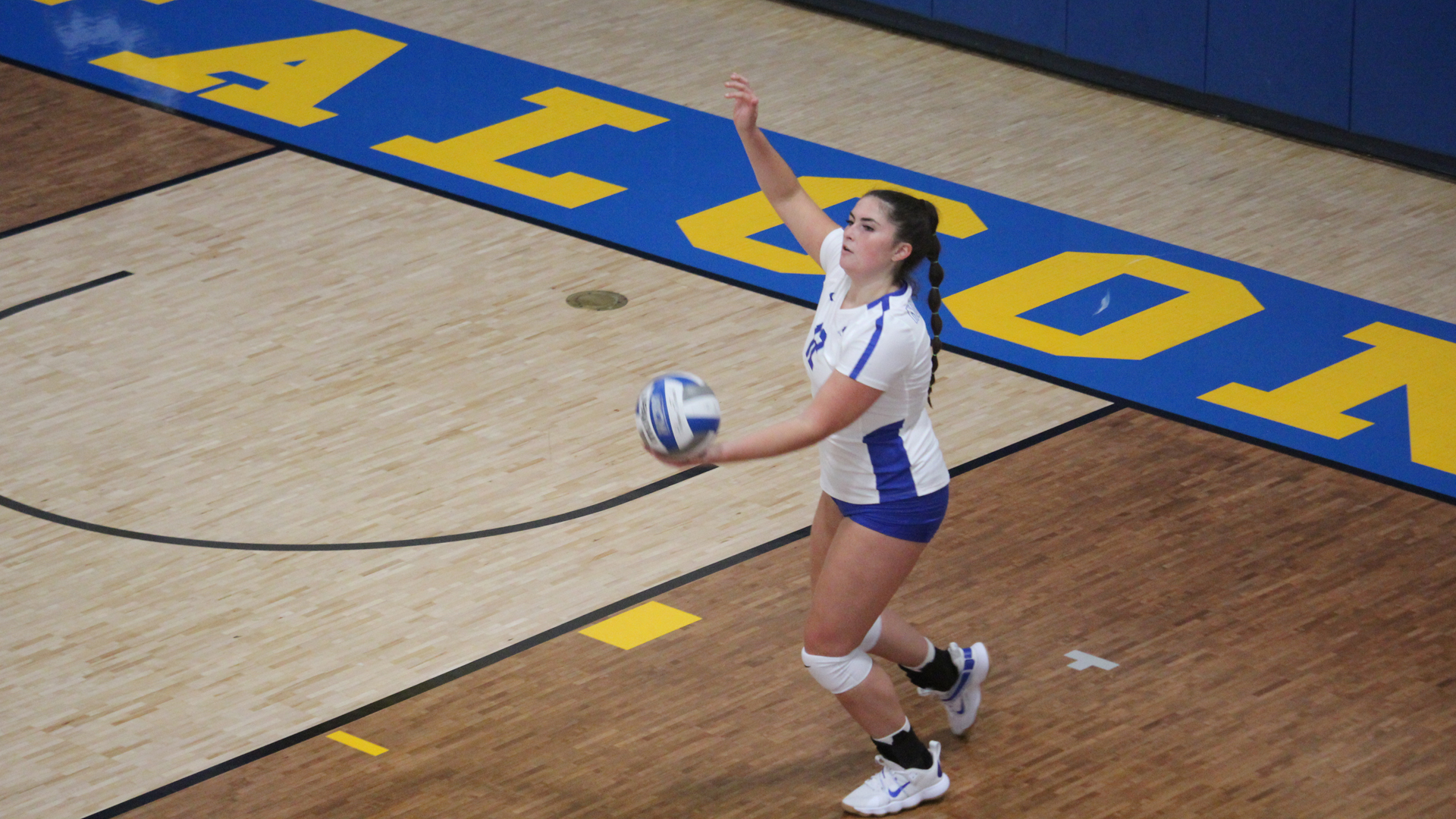 Carly Emerson Volleyball Notre Dame College Athletics