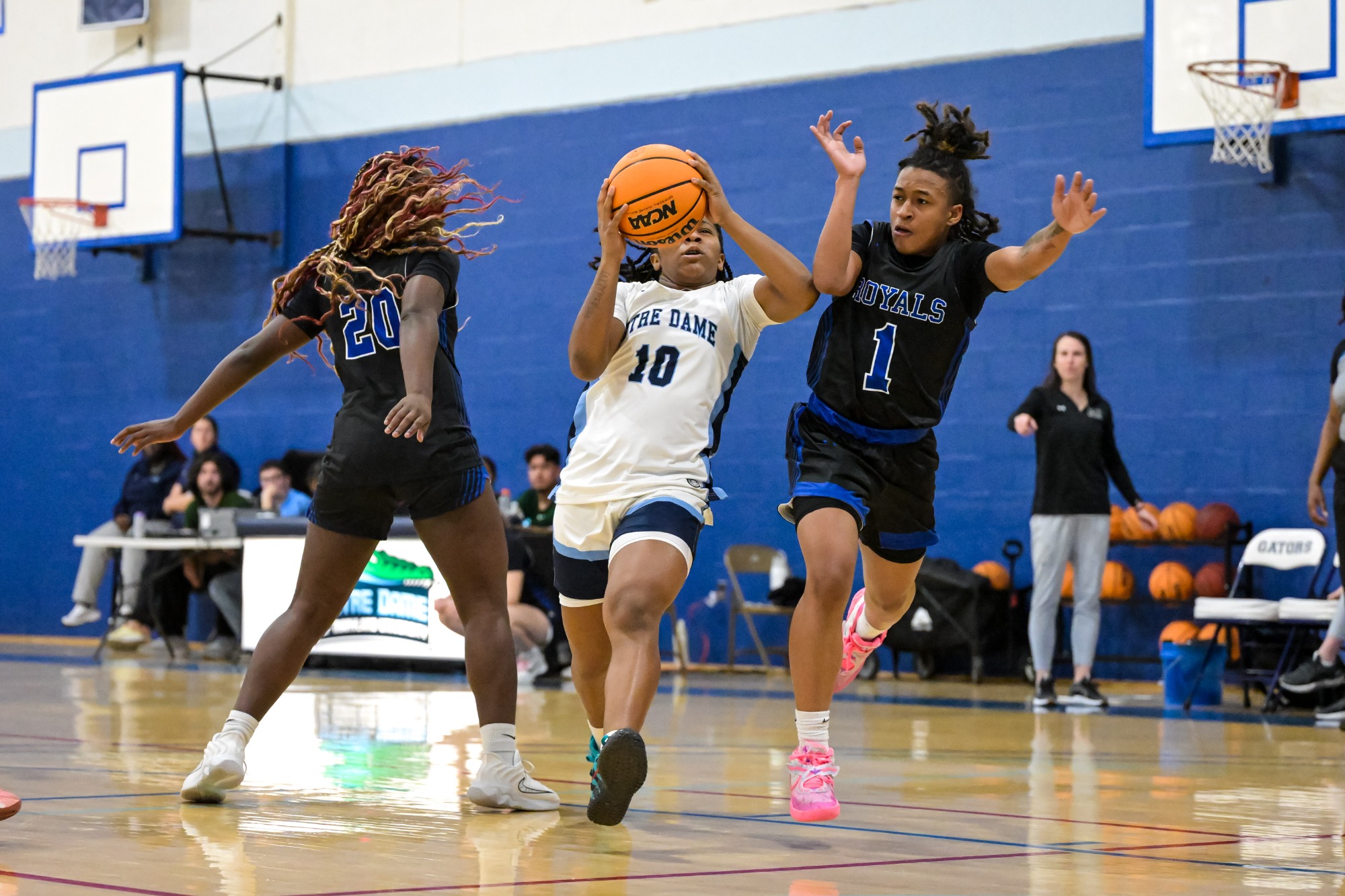 Women's Basketball 2025-2026