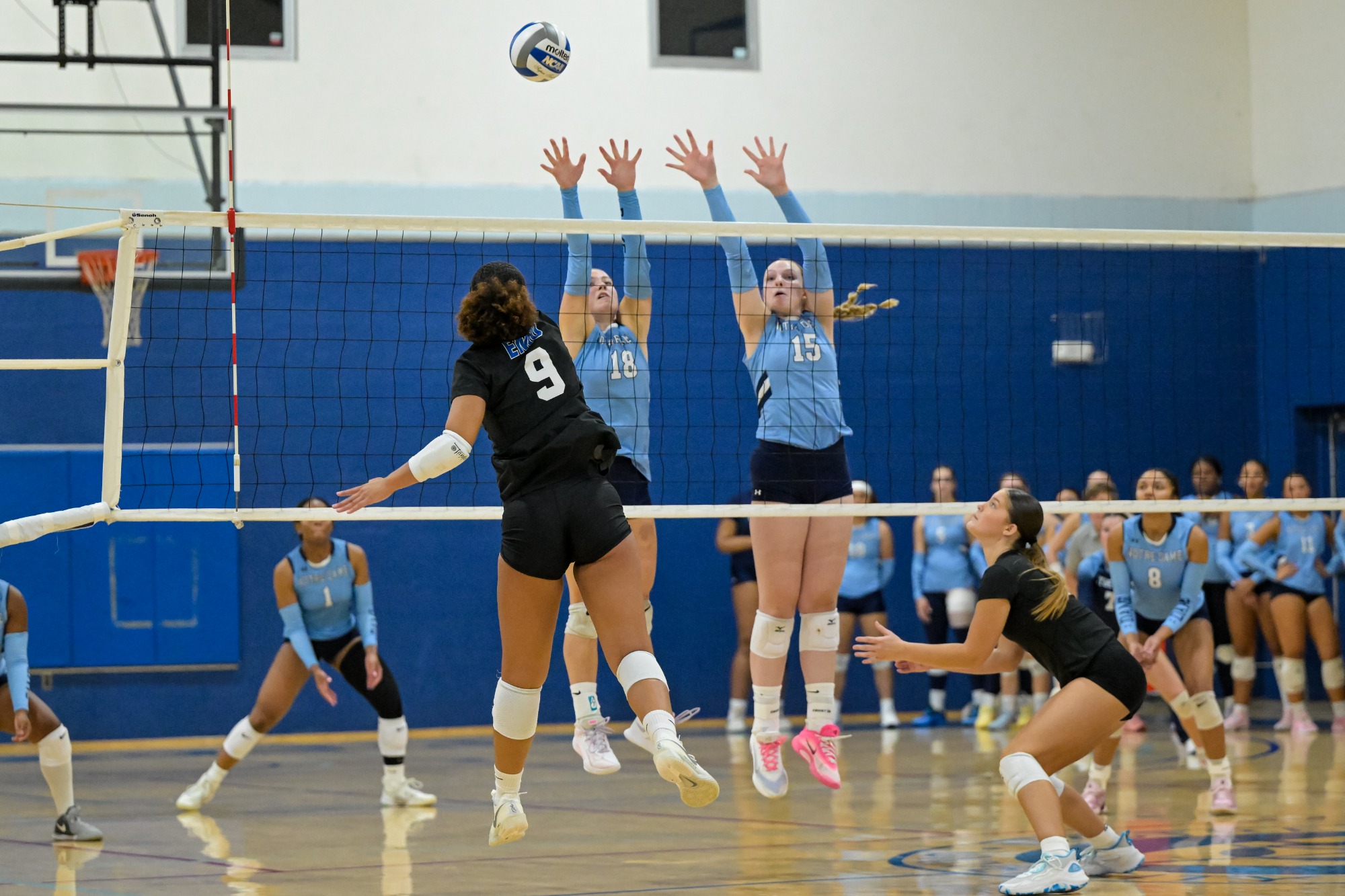 Women's Volleyball 2025 Season