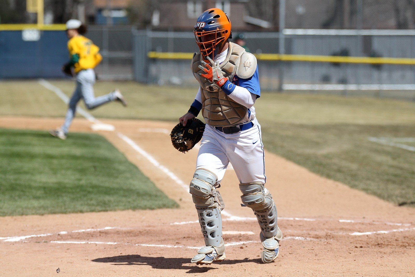 Taylor Anderson Baseball SUNY New Paltz Athletics