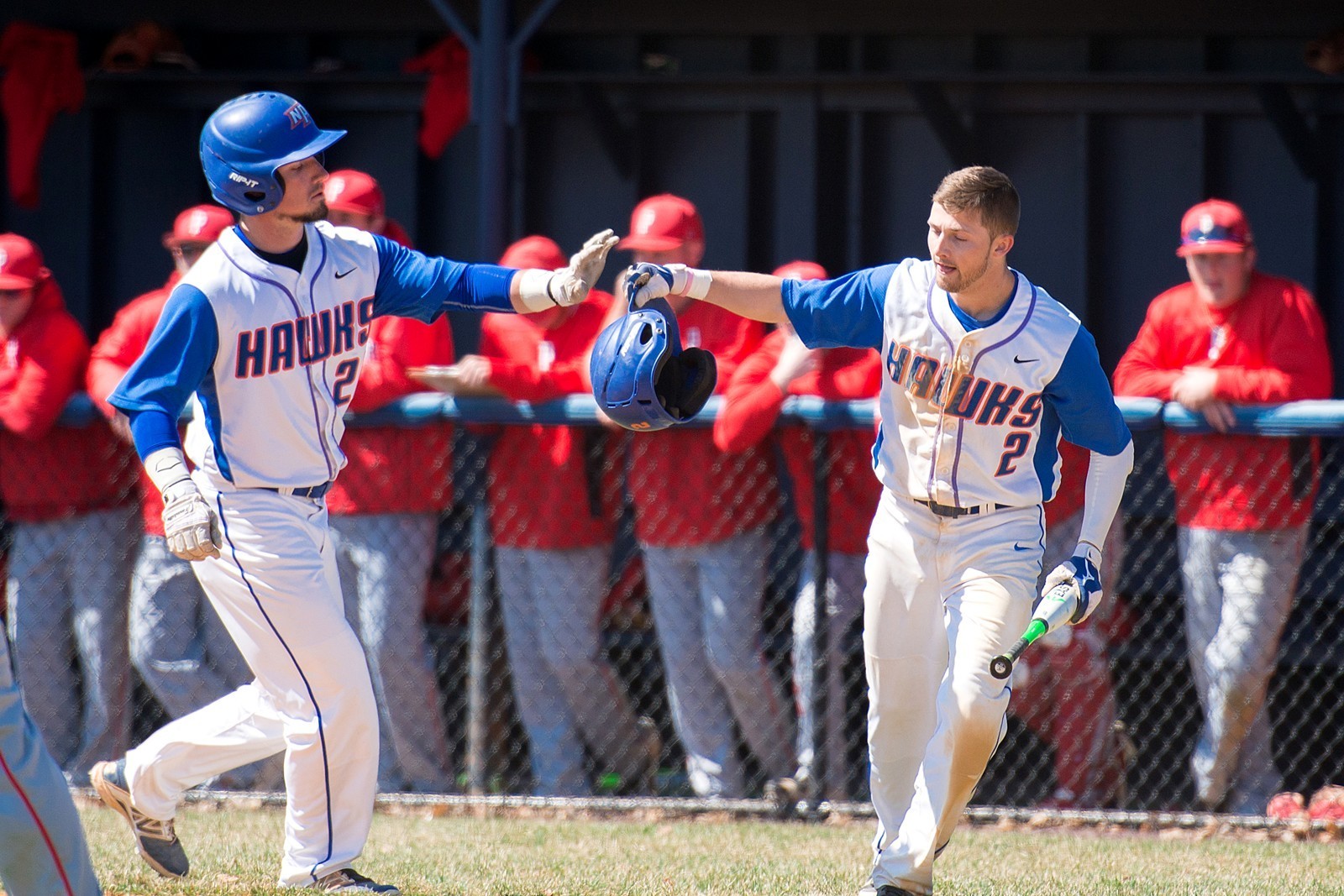 Taylor Anderson Baseball SUNY New Paltz Athletics
