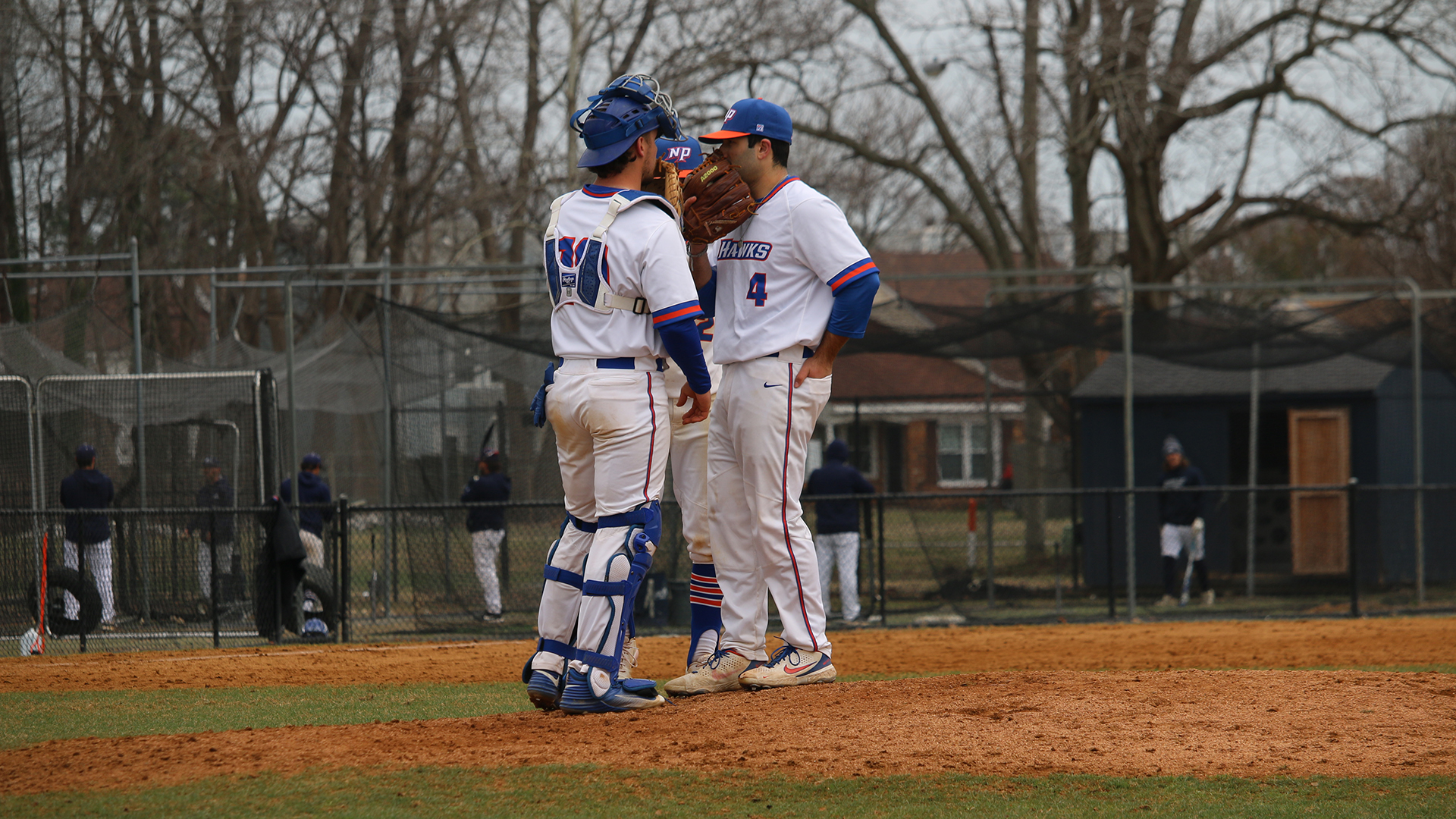 matthew-polestino-baseball-suny-new-paltz-athletics