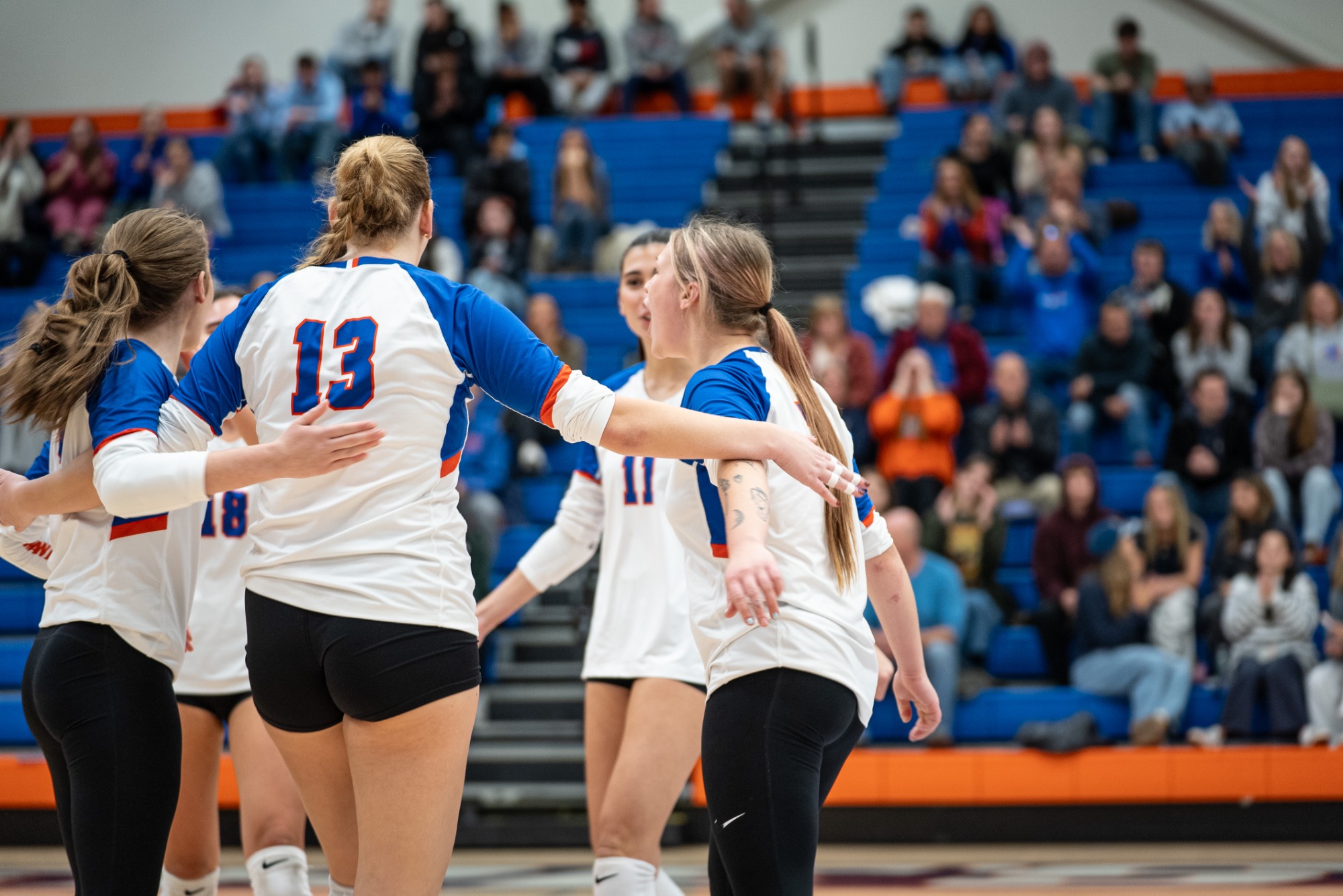 Hawks celebrate after a point