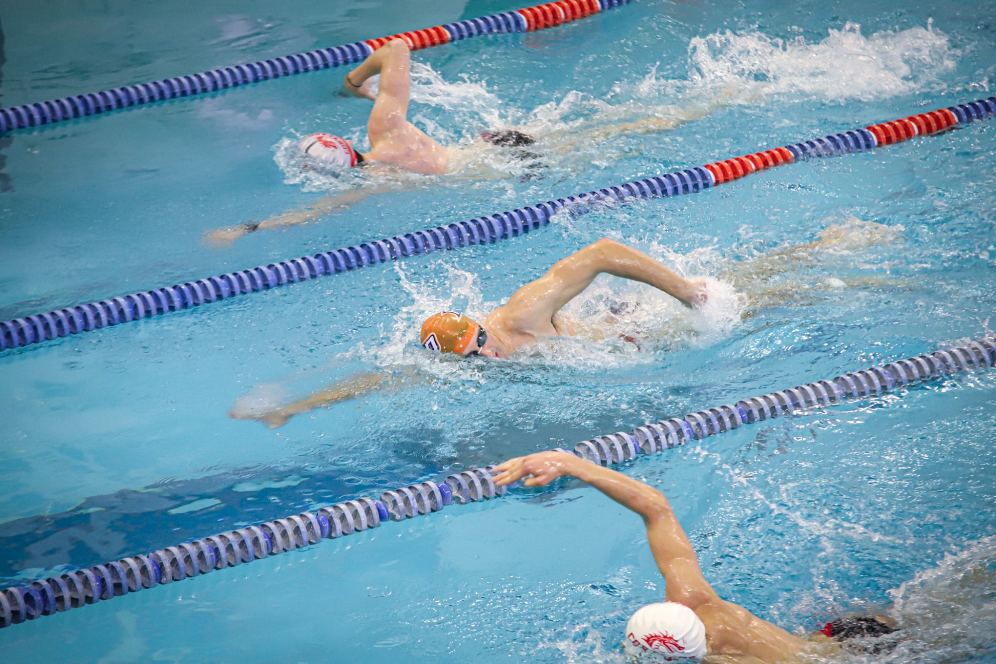 Hawks Swimming vs Cortland 1/10/26 by Niecey Kerr