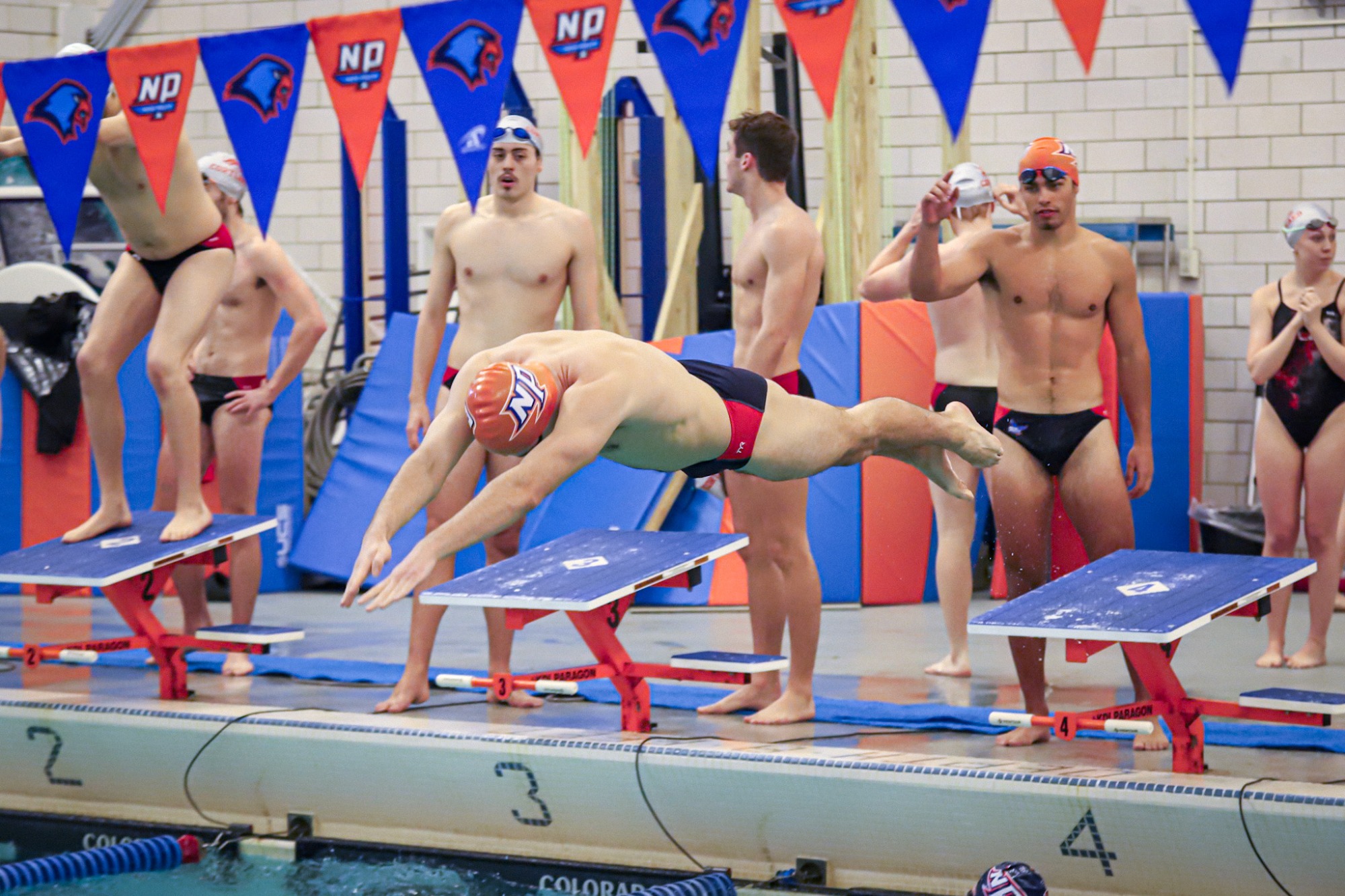 Hawks Swimming vs Cortland 1/10/26 by Niecey Kerr