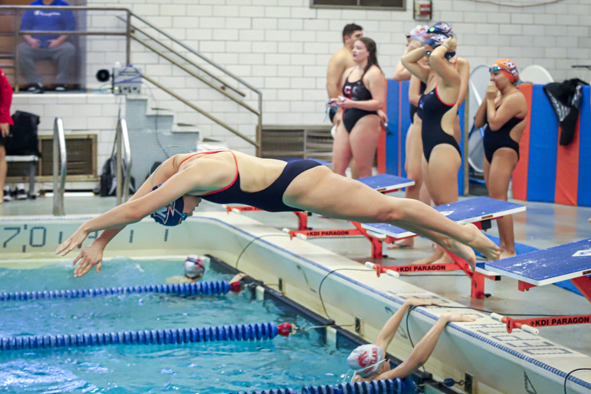 Hawks Swimming vs Cortland 1/10/26 by Niecey Kerr