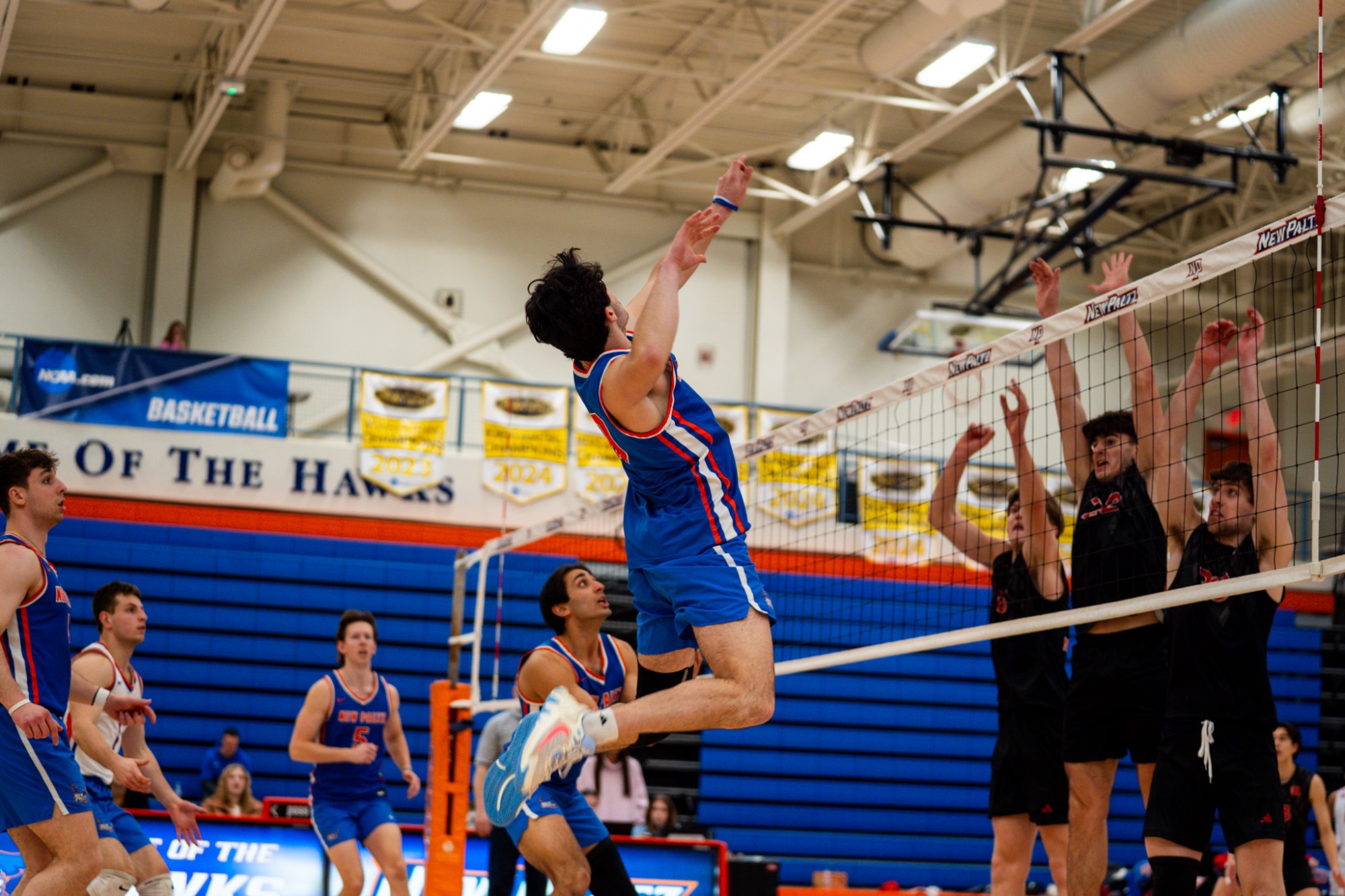 Nikko TenedorioMatt Teplanky