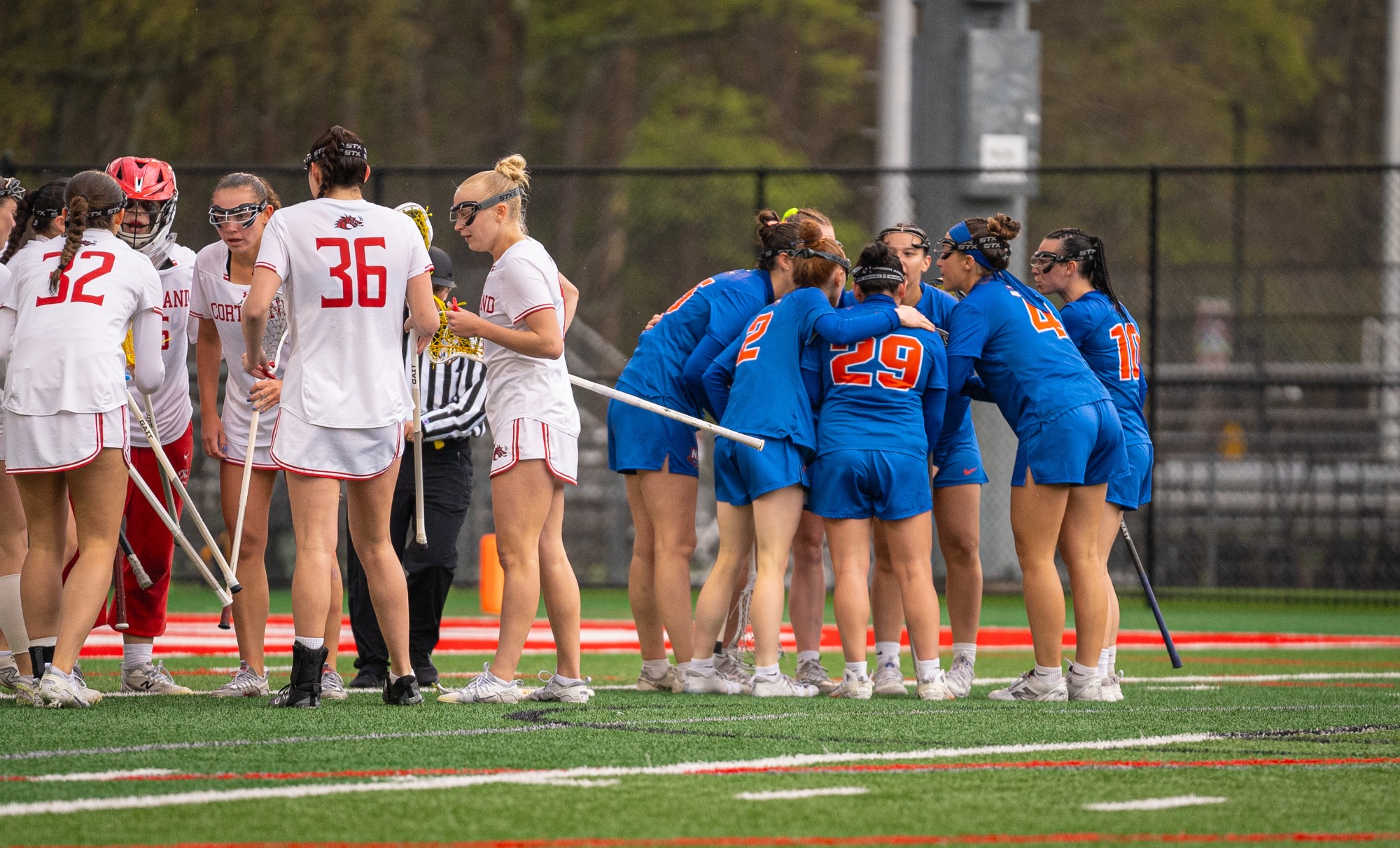 Hawks huddle after a goal 