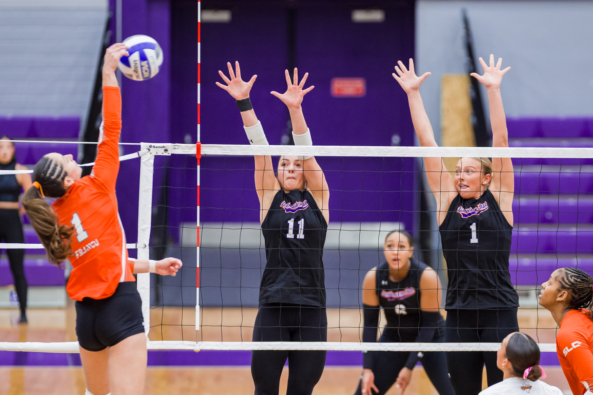 NSU 11 Jade Longlad NSU 1 Julia Whitfield