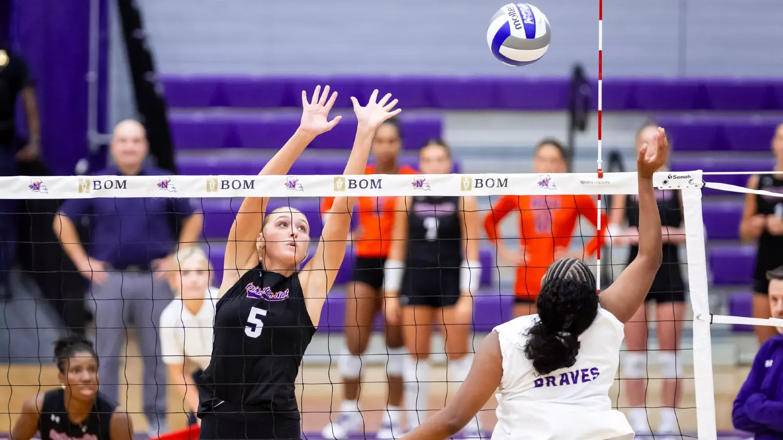NSU 5 Gillian Grace Wolf