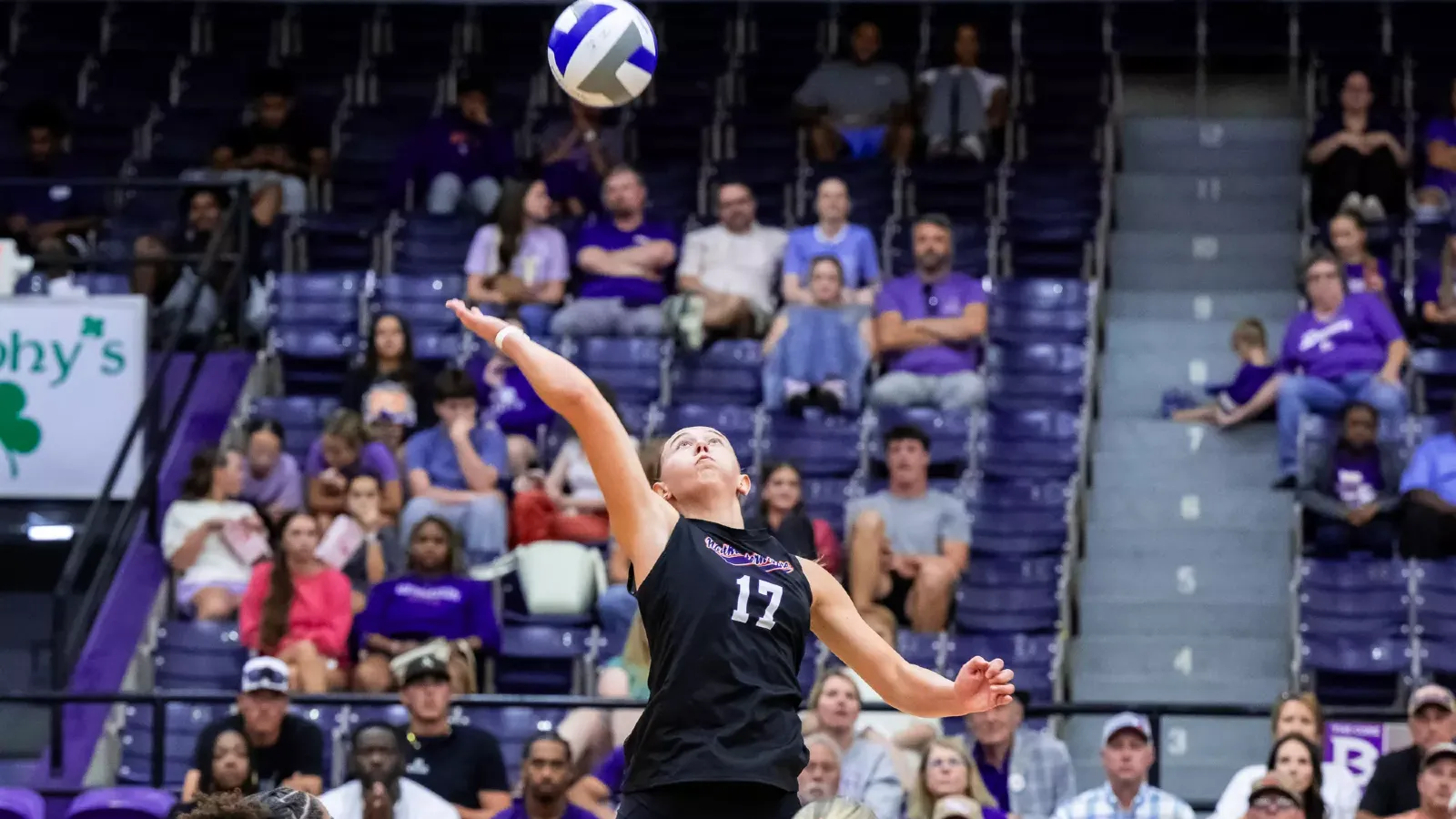 NSU 17 Elsie Sanchez Oliver
