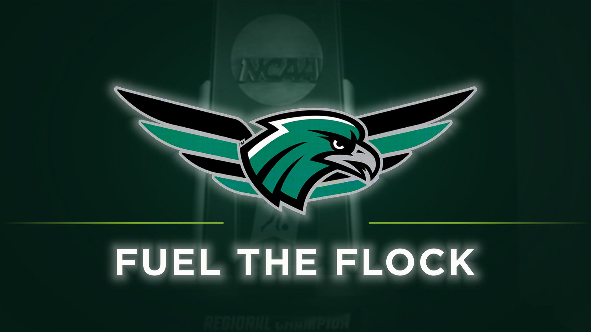 Fuel the Flock Story