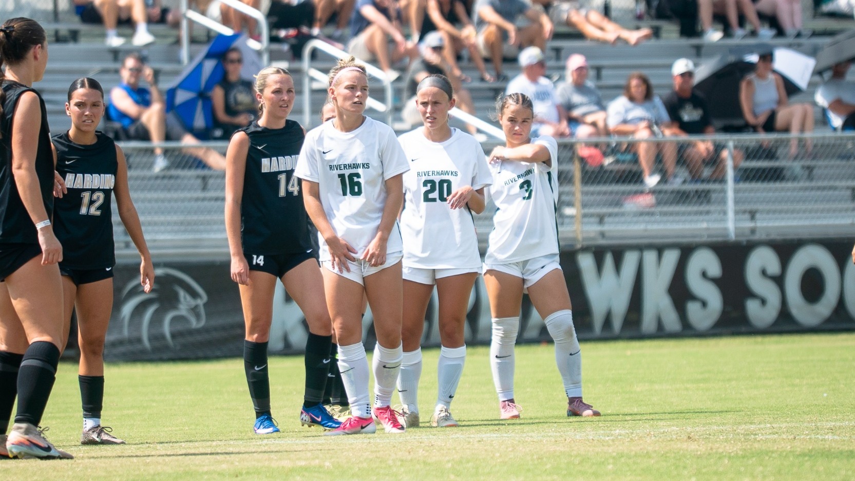 Trotter vs Harding